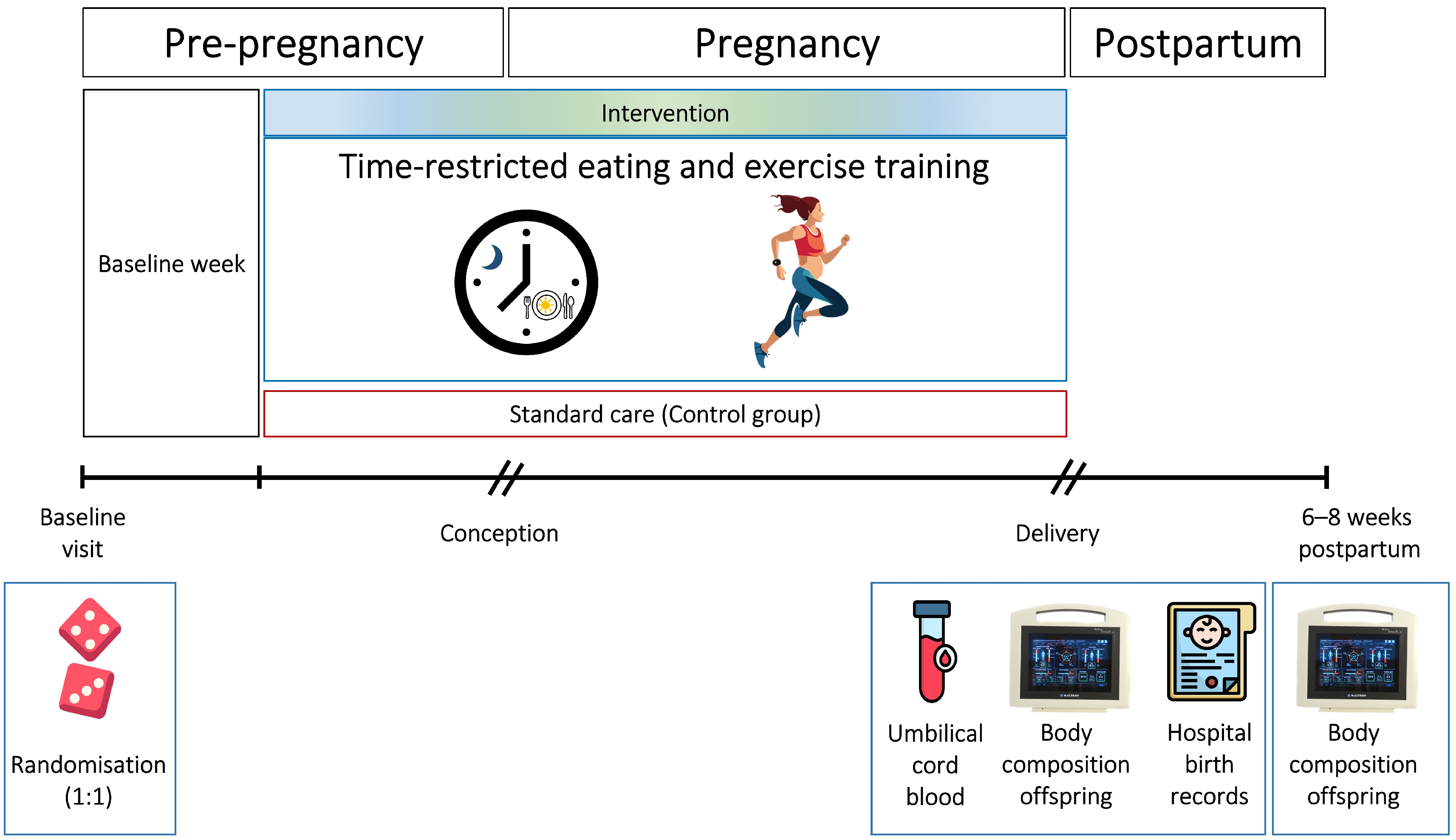 Nutrients 17 03492 g001