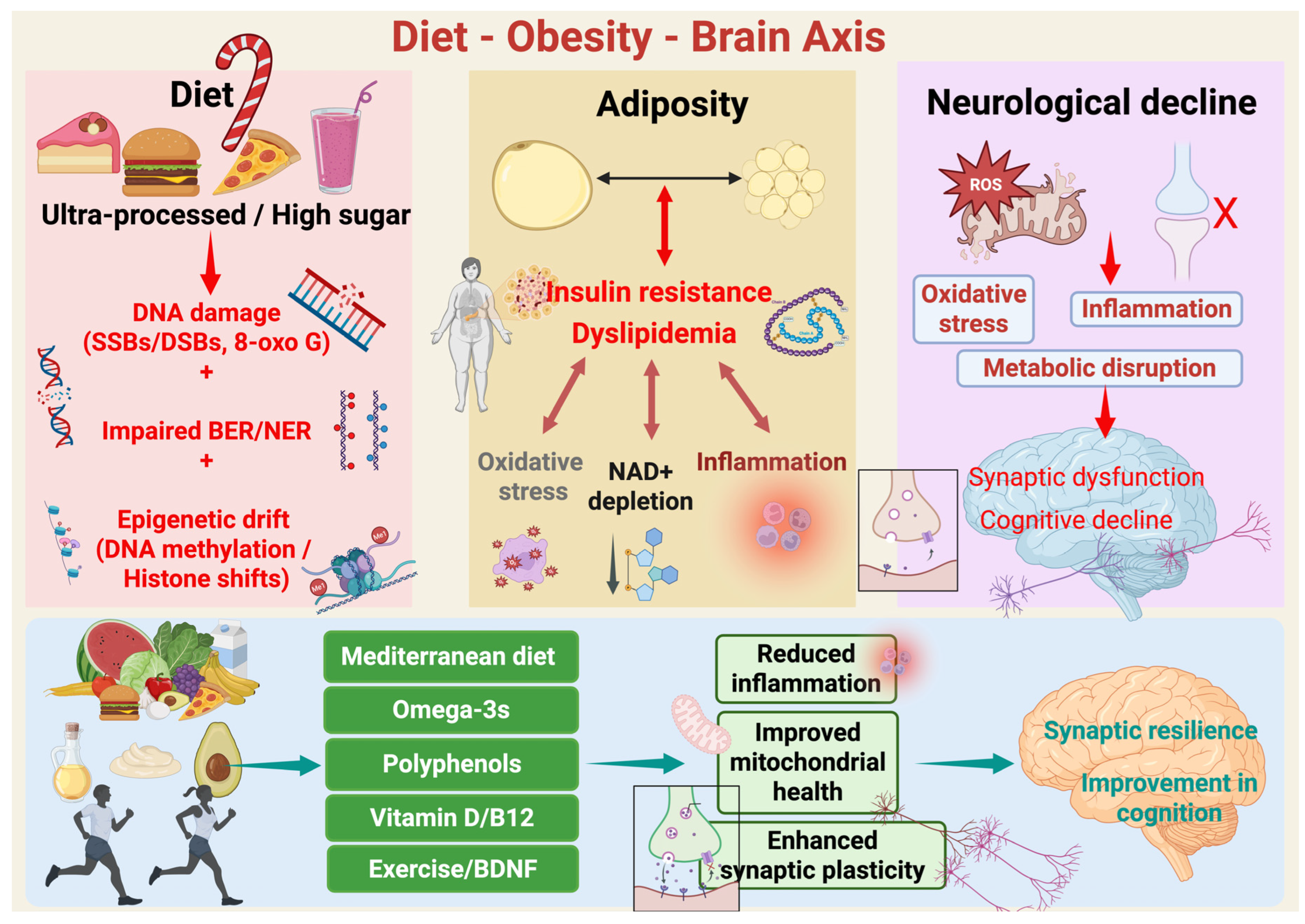 Nutrients 17 03493 g001