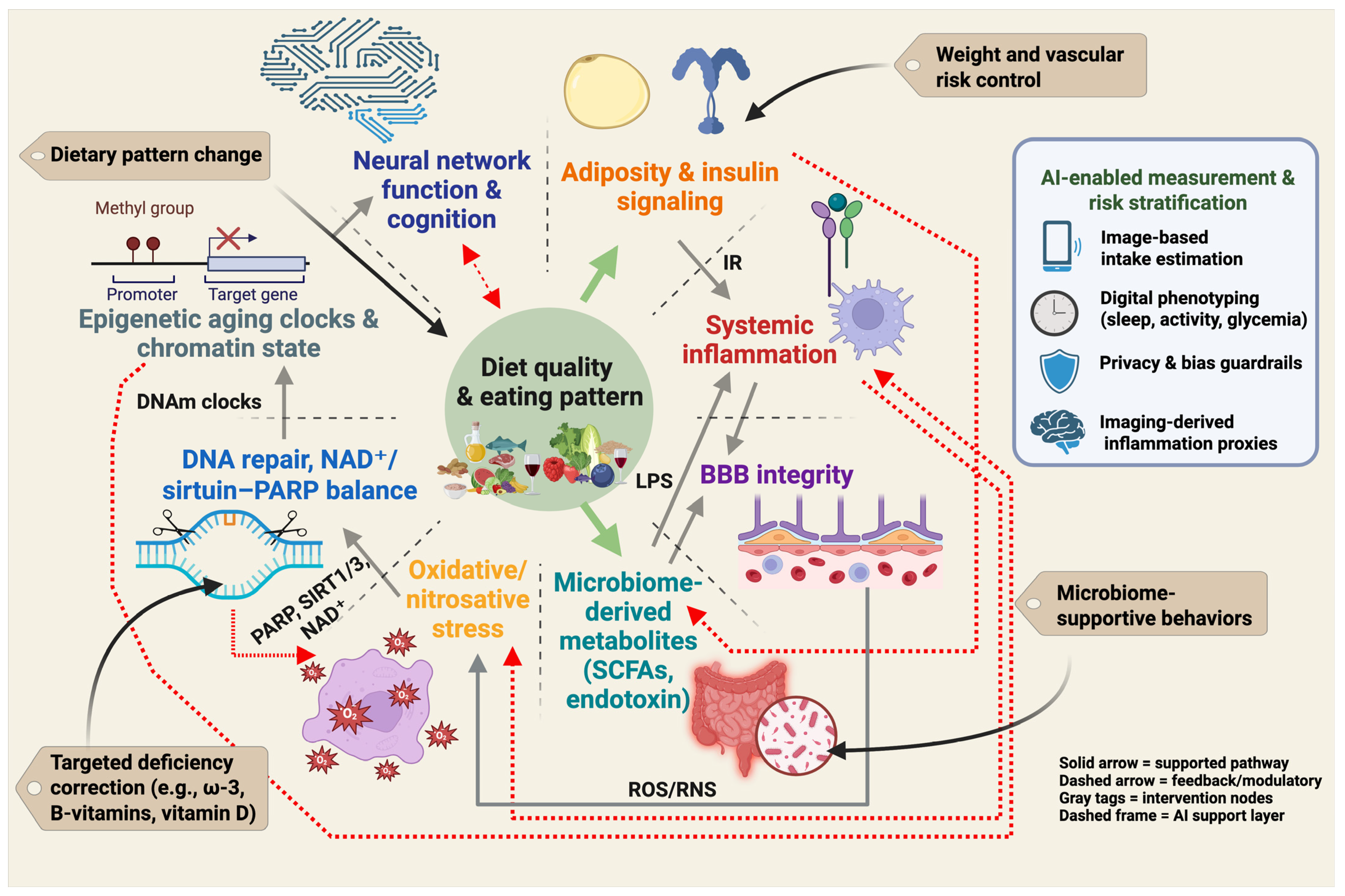 Nutrients 17 03493 g002