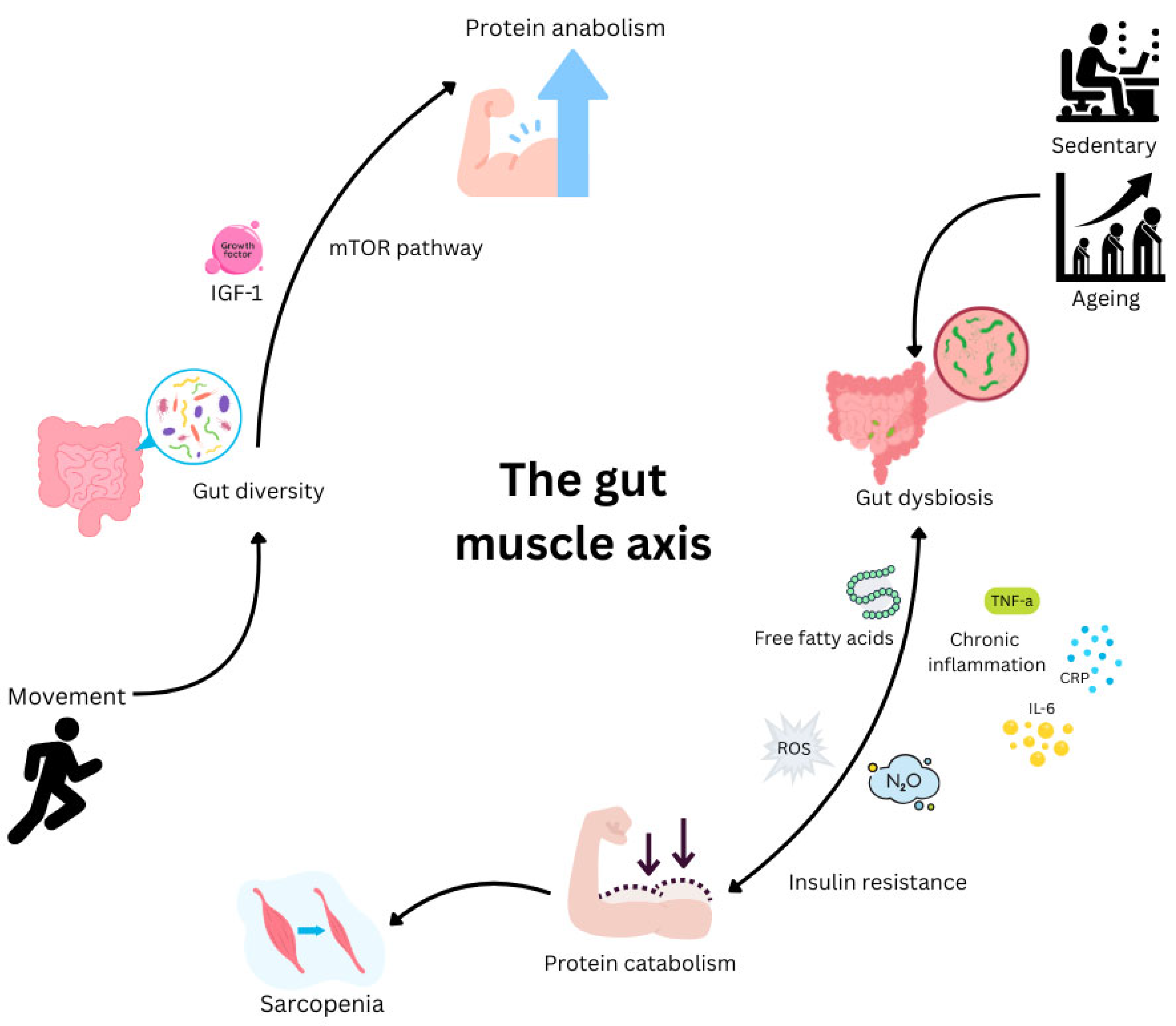 Nutrients 17 03495 g002 Nutrients 17 03495 g002