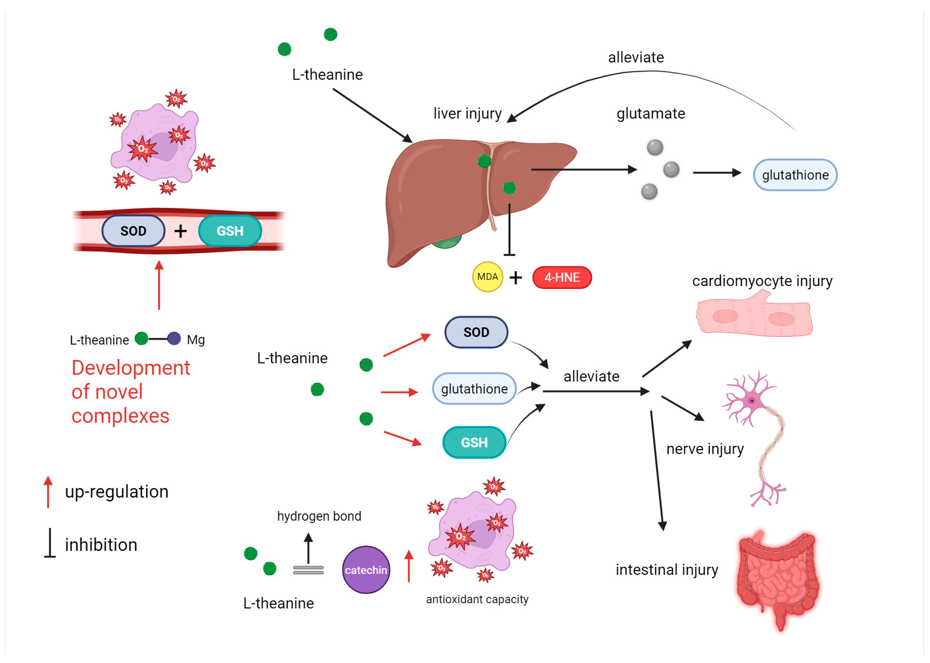 Nutrients 17 03496 g006 Nutrients 17 03496 g006