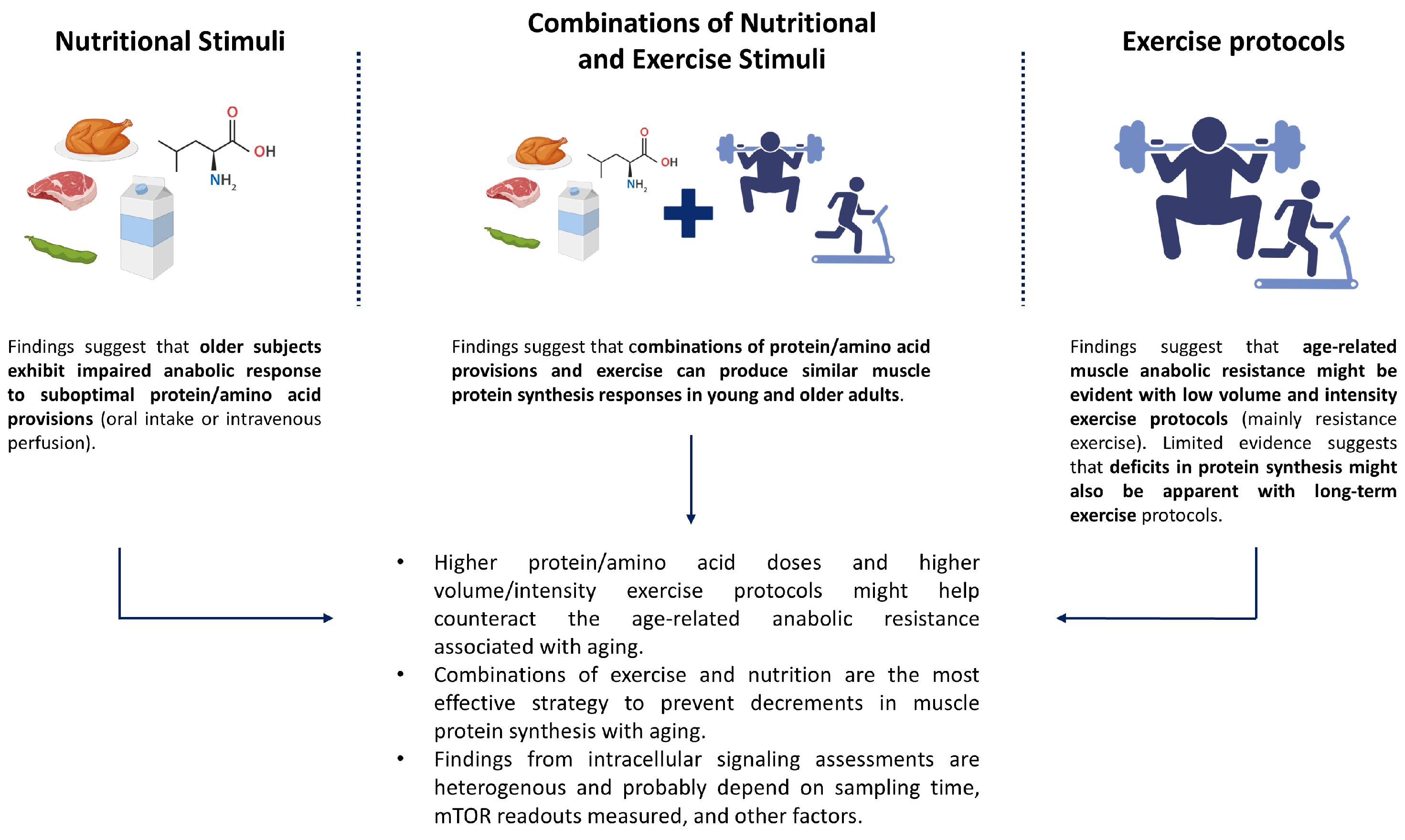 Nutrients 17 03503 g001