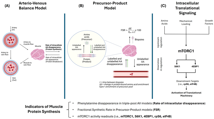 Nutrients 17 03503 i001