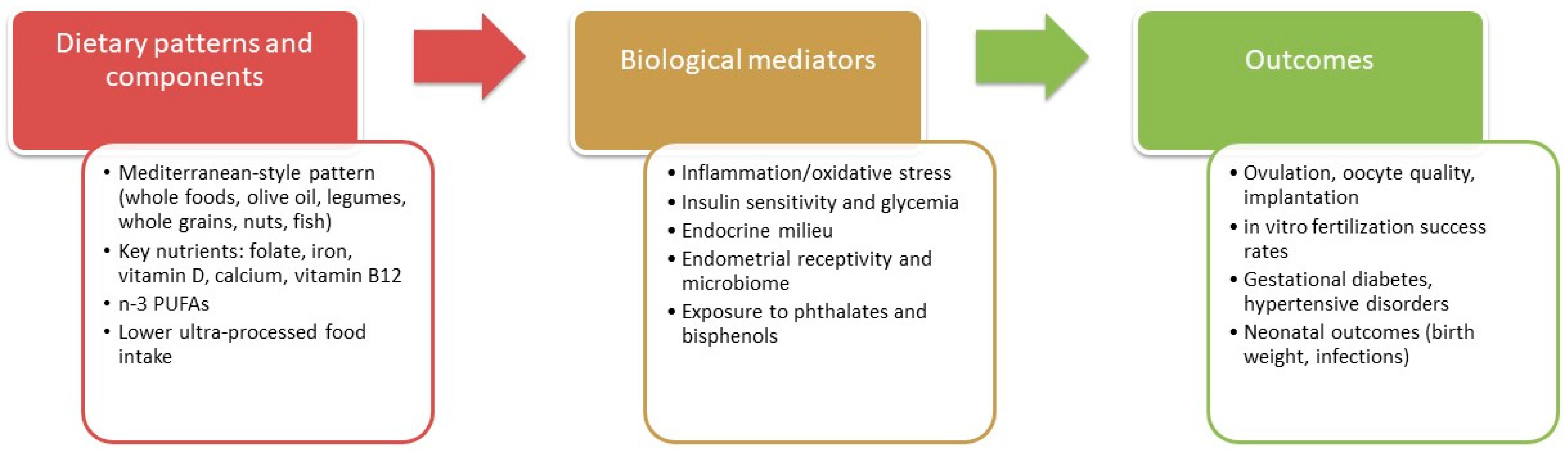 Nutrients 17 03505 g001 Nutrients 17 03505 g001