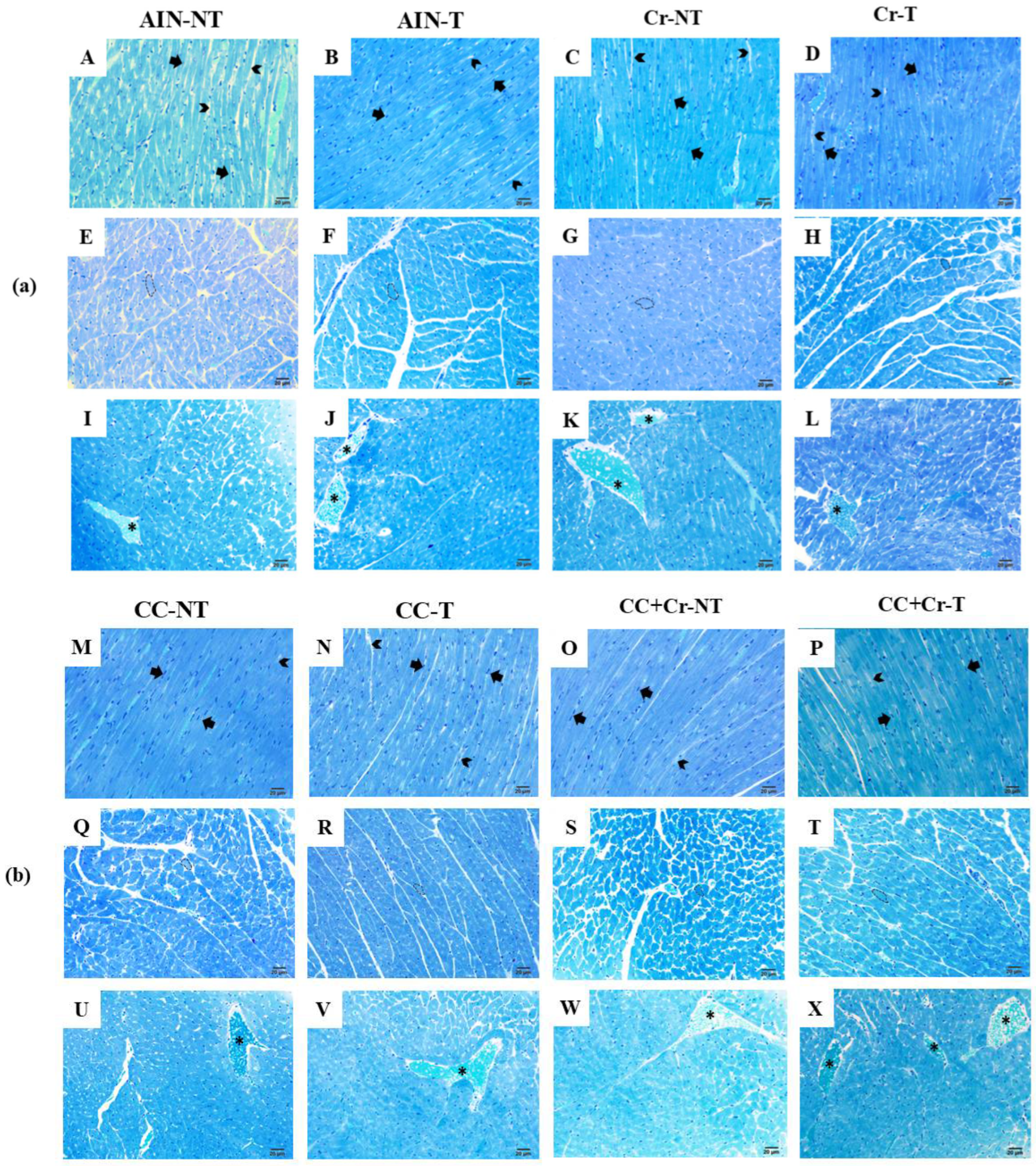 Nutrients 17 03587 g005 Nutrients 17 03587 g005