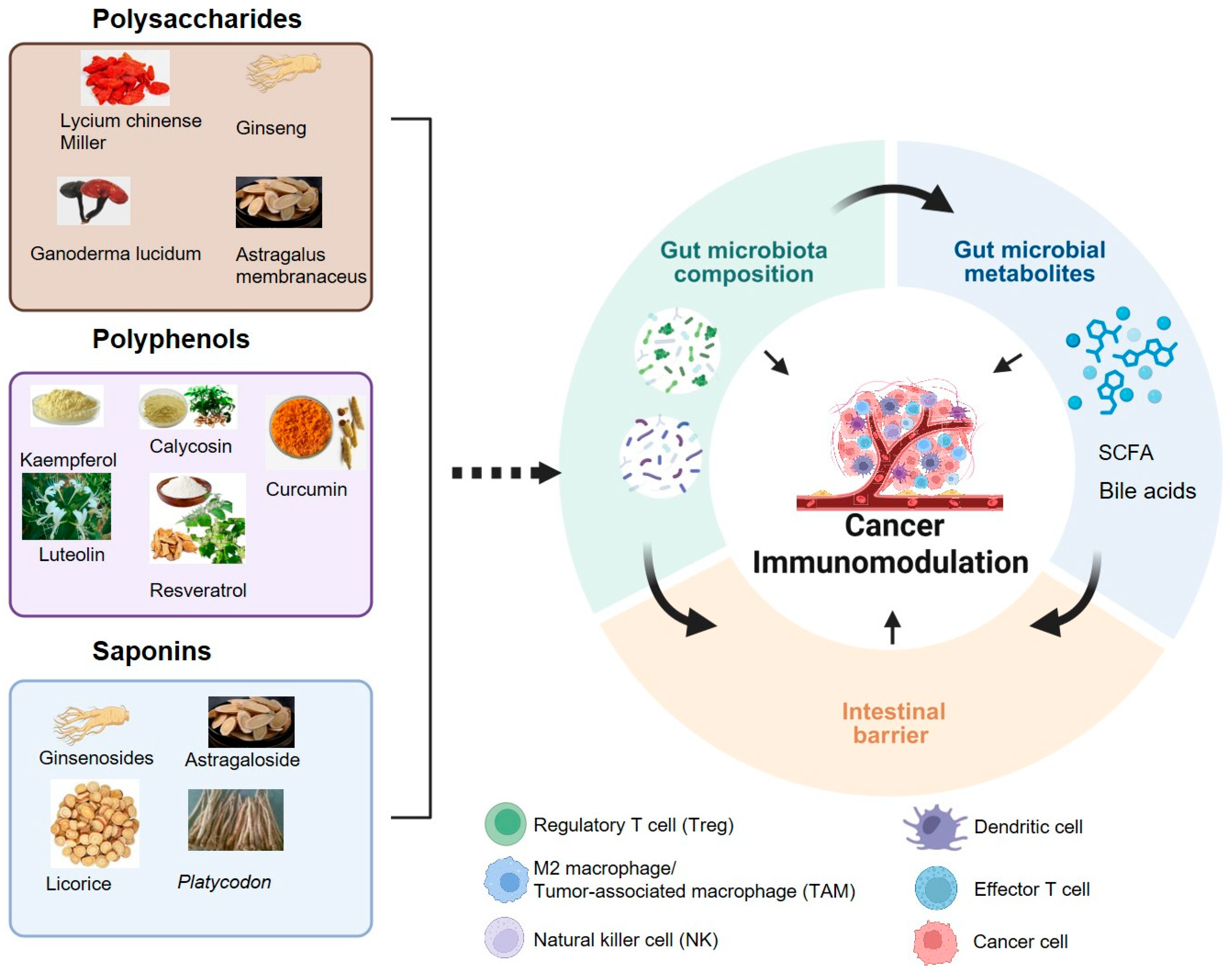 Nutrients 17 03591 g001