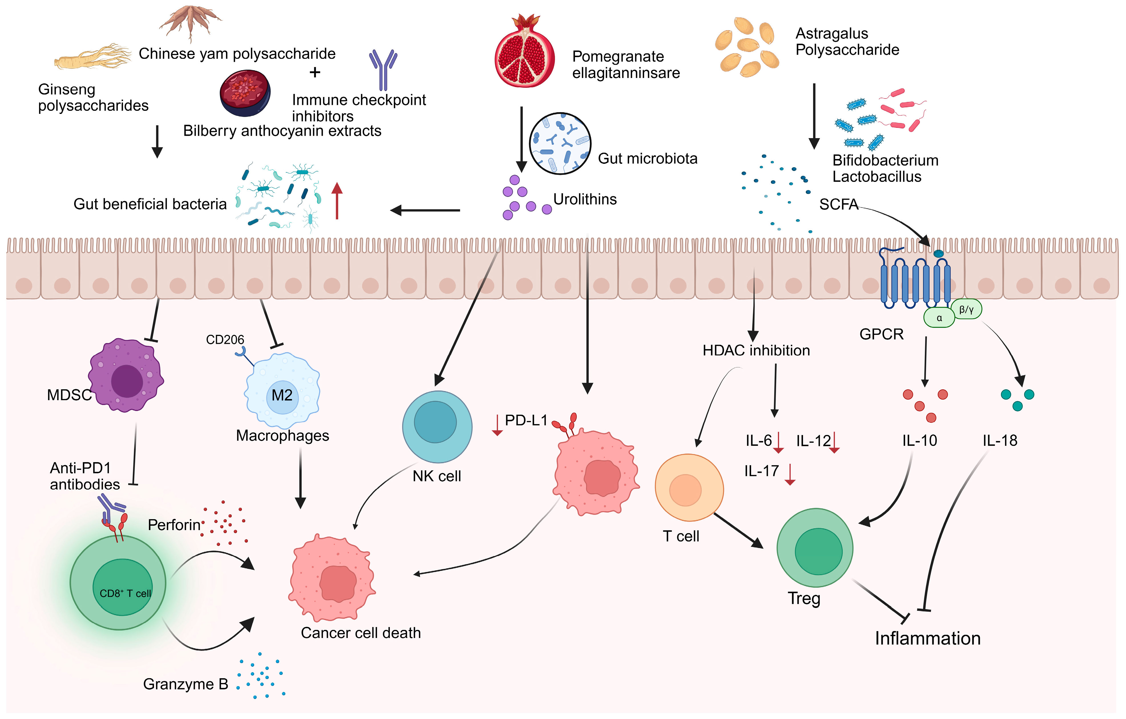 Nutrients 17 03591 g002
