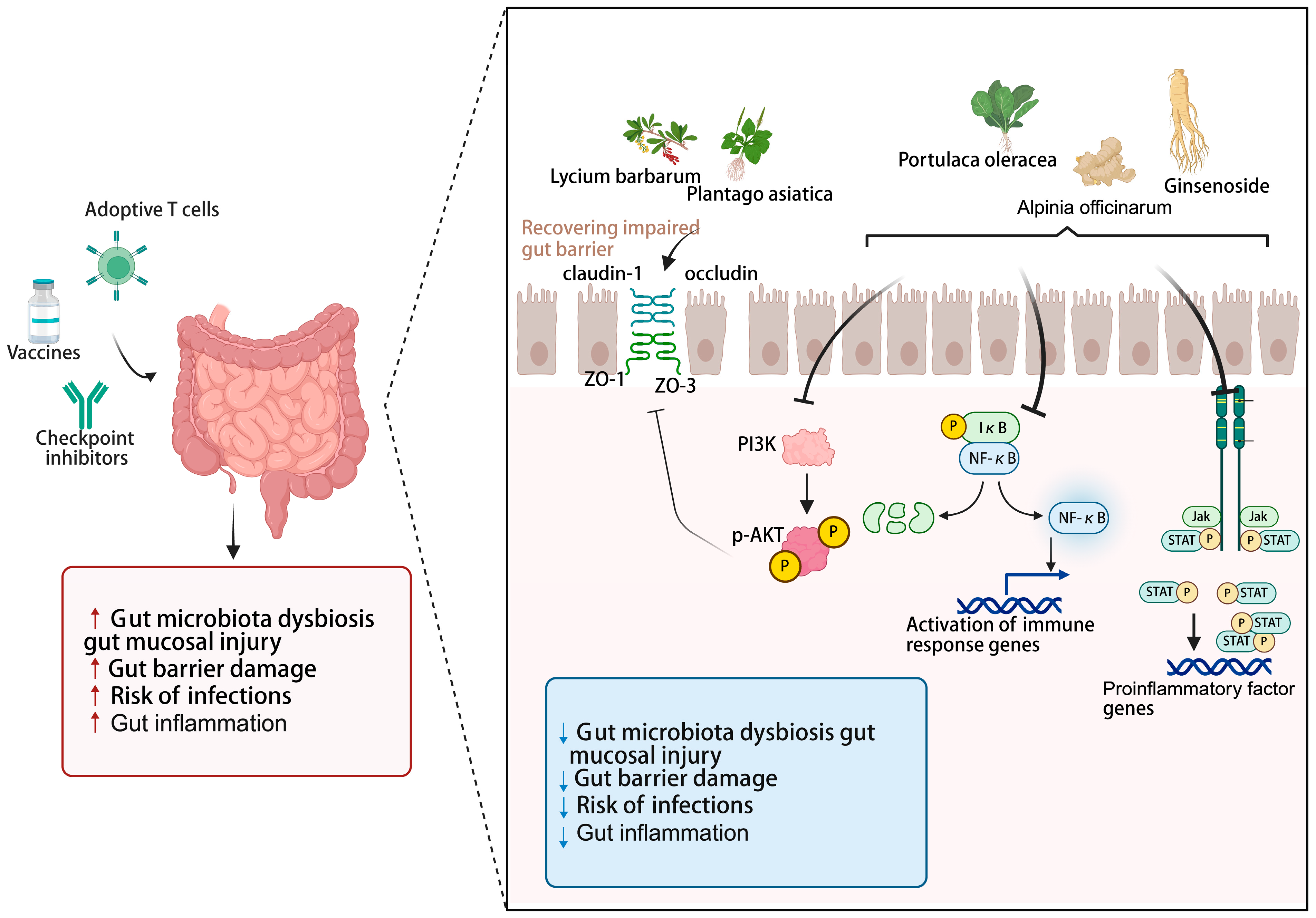 Nutrients 17 03591 g003
