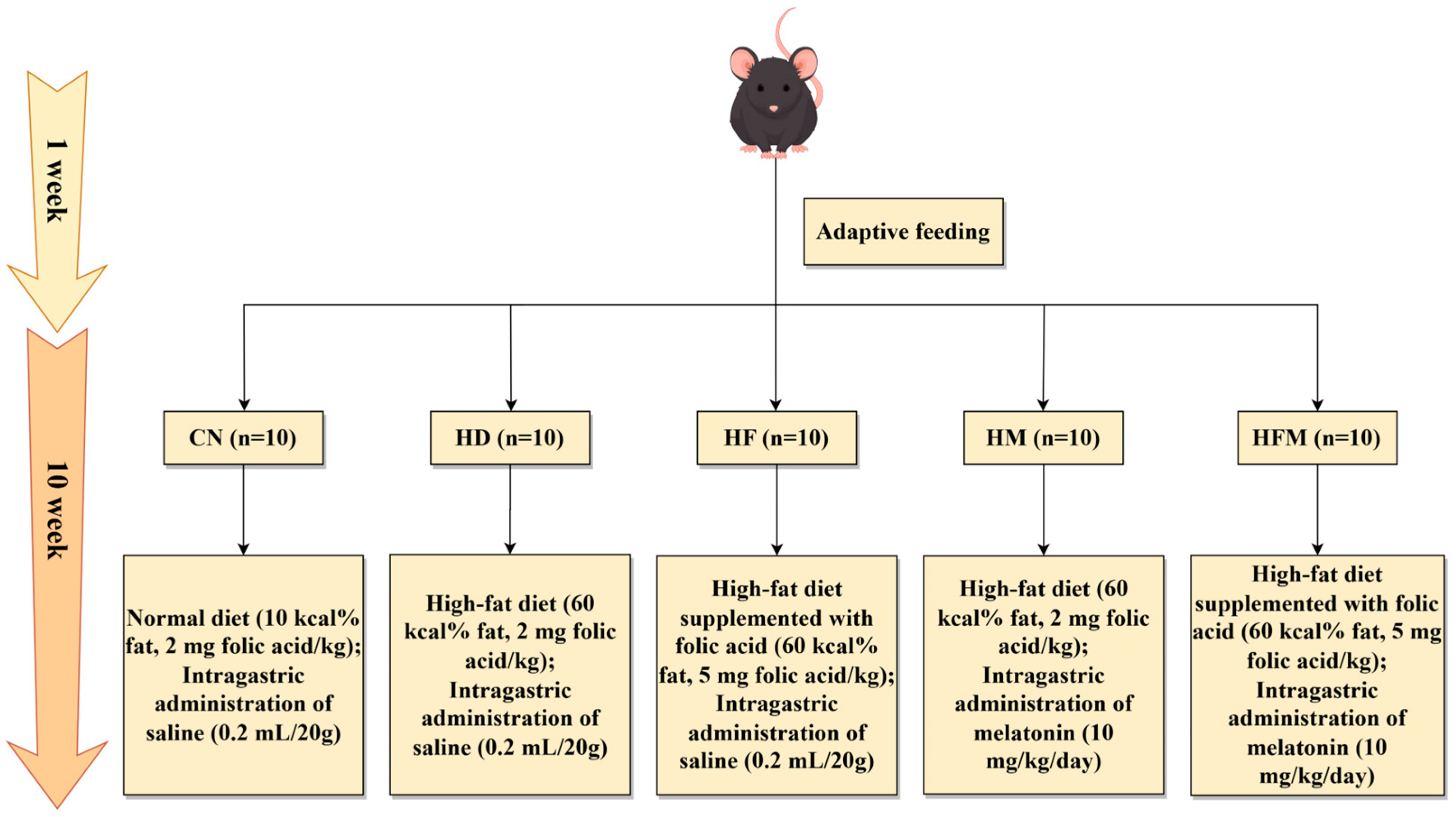 Nutrients 17 03641 g001 Nutrients 17 03641 g001