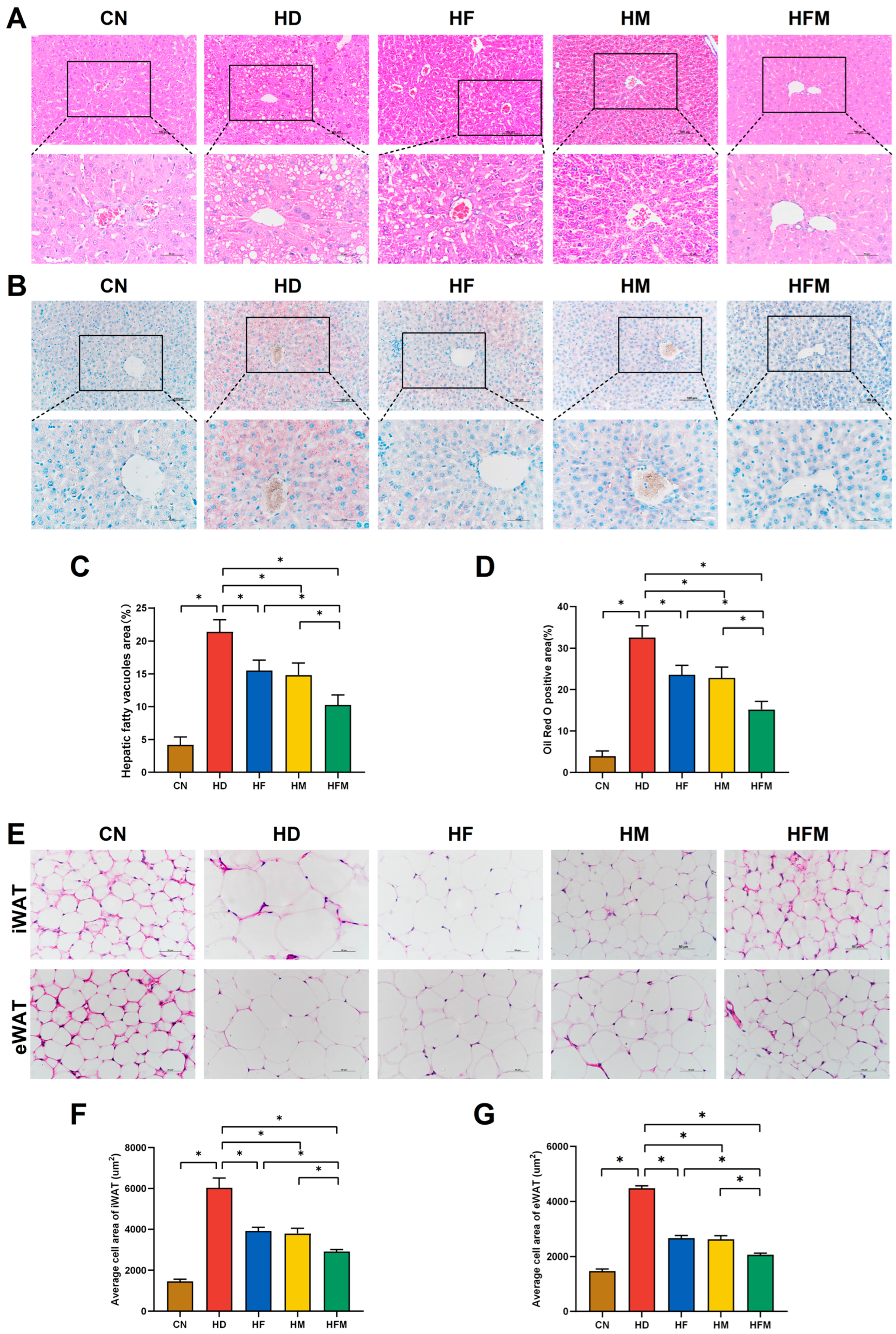 Nutrients 17 03641 g005 Nutrients 17 03641 g005