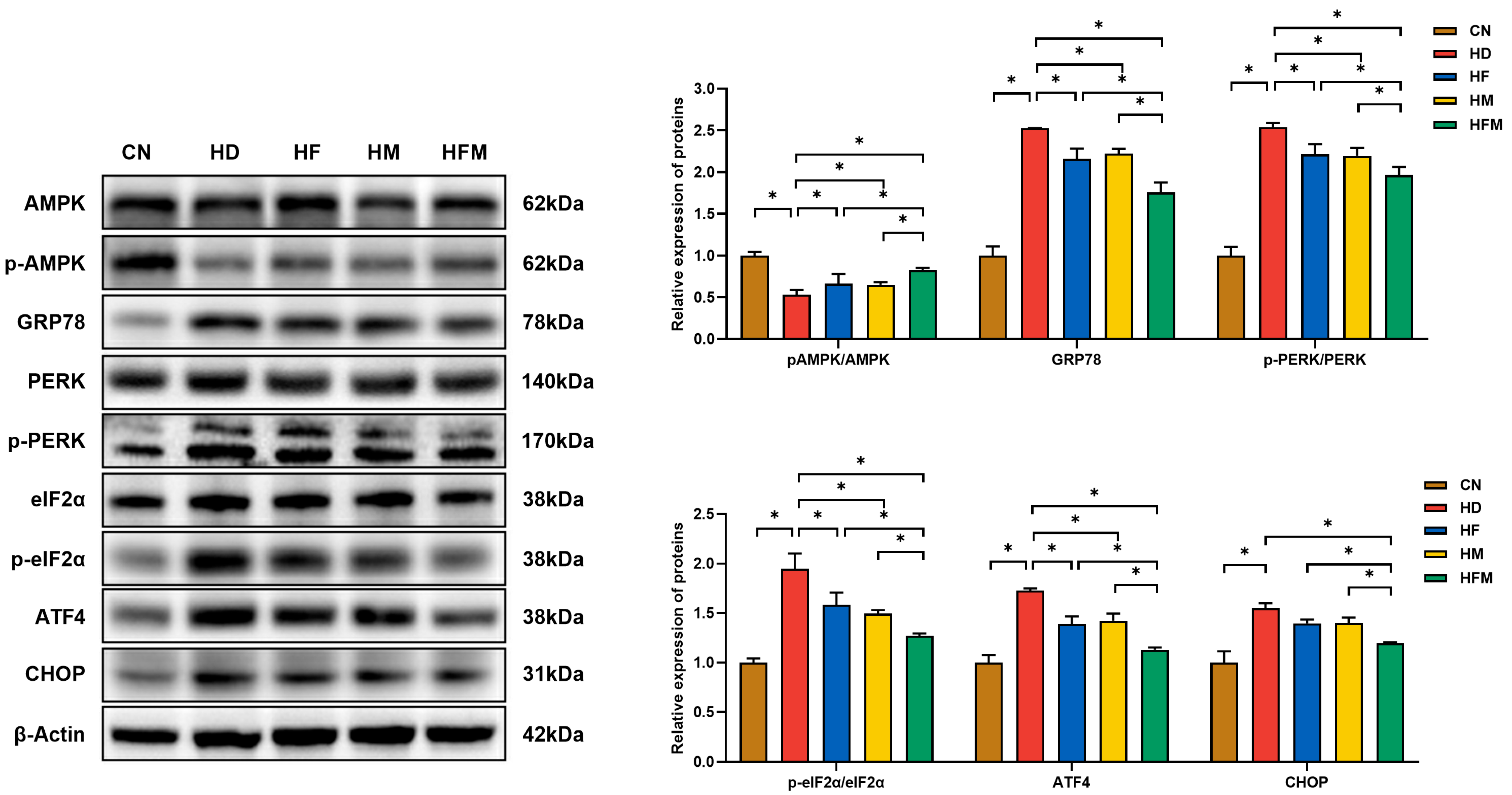 Nutrients 17 03641 g007 Nutrients 17 03641 g007