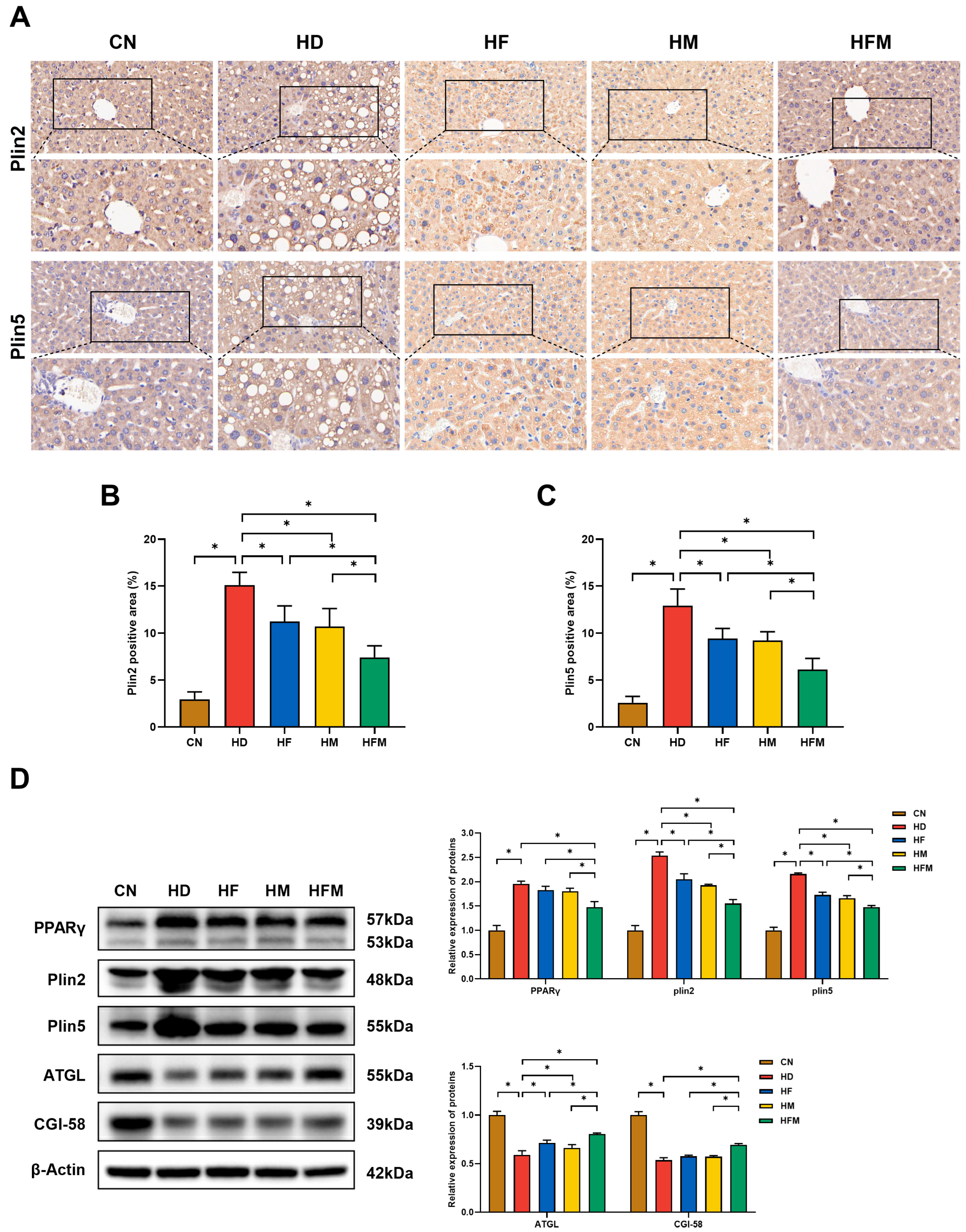 Nutrients 17 03641 g008 Nutrients 17 03641 g008