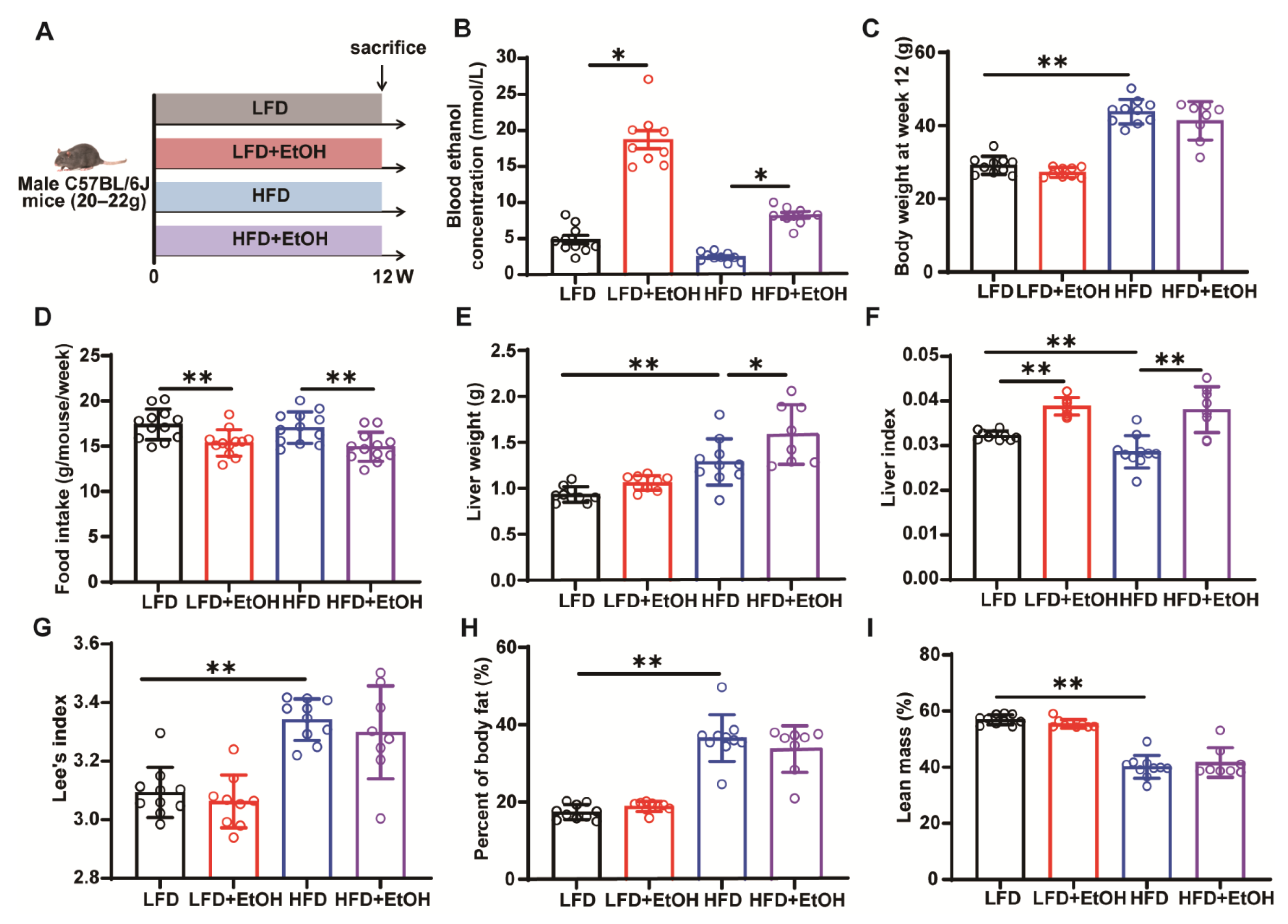 Nutrients 17 03658 g001 Nutrients 17 03658 g001