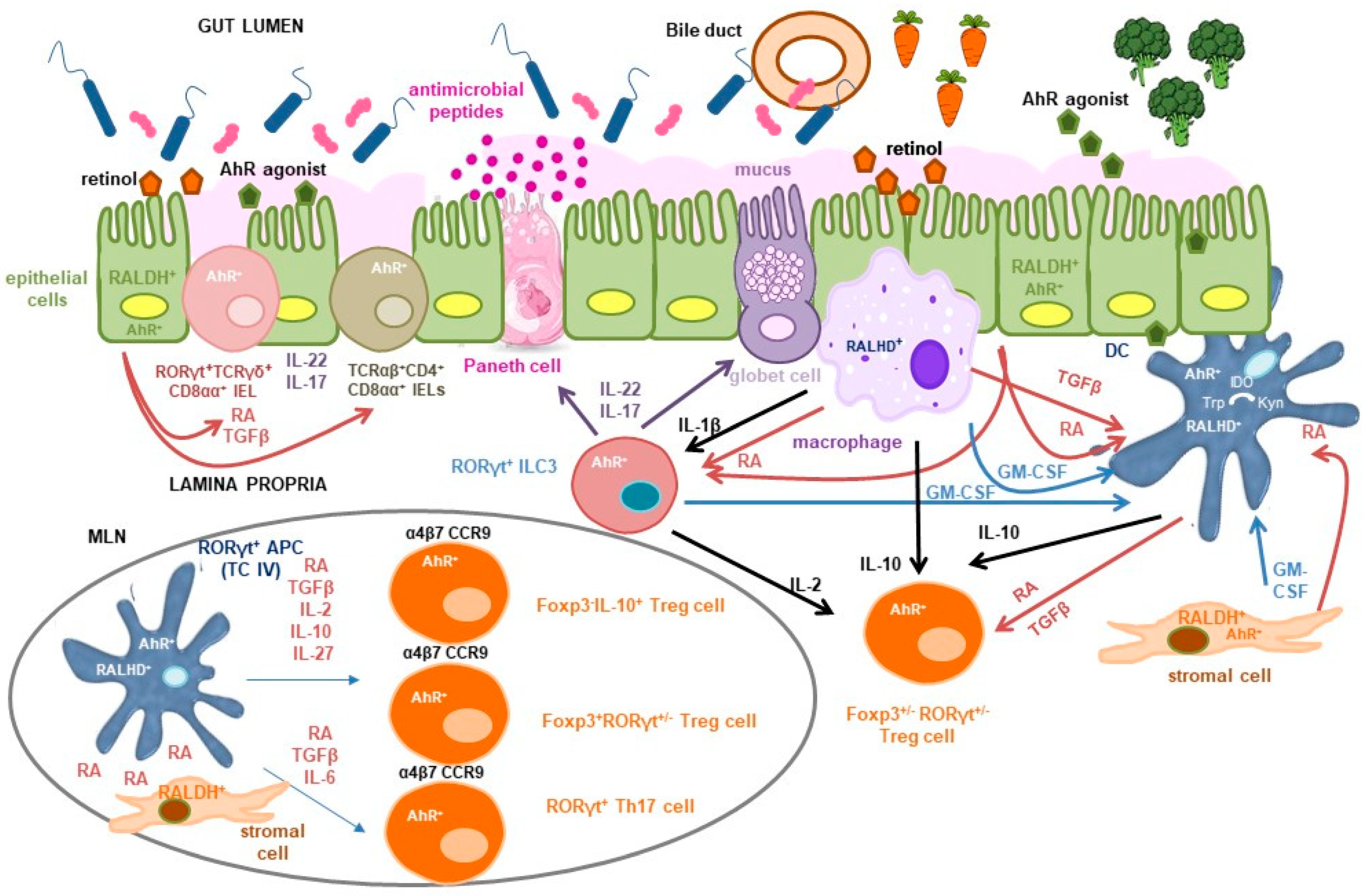 Nutrients 17 03669 g001