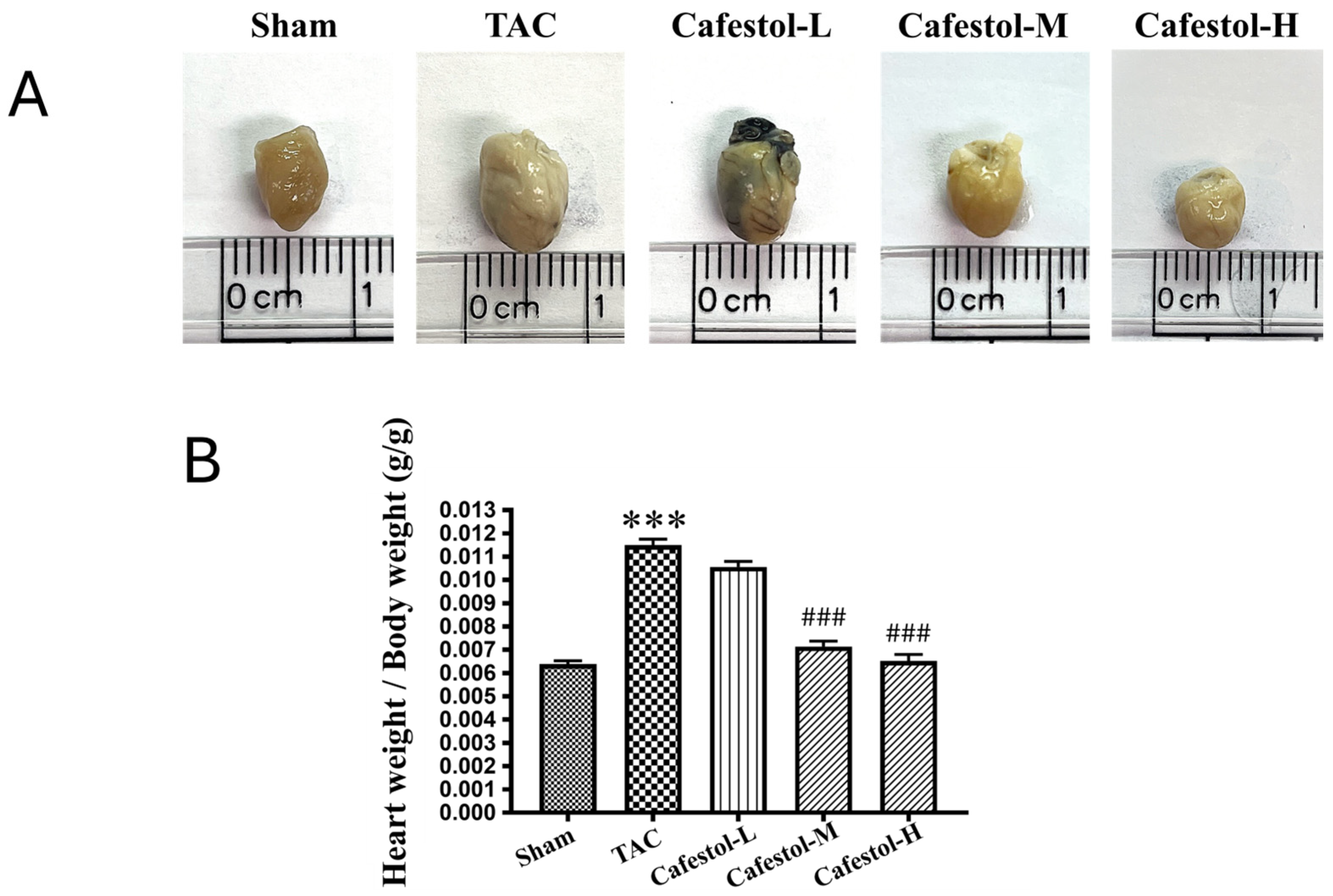 Nutrients 17 03680 g001 Nutrients 17 03680 g001