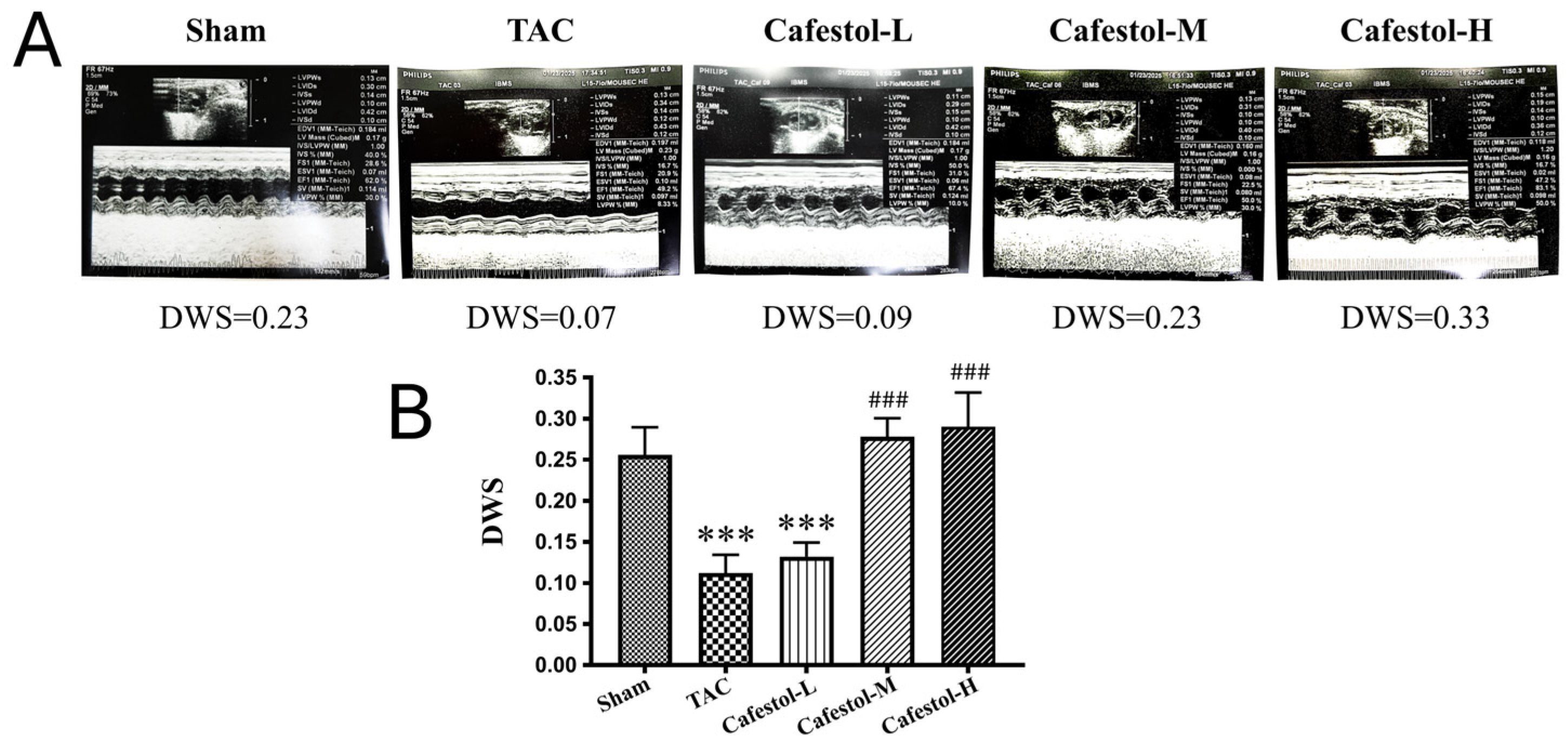 Nutrients 17 03680 g002 Nutrients 17 03680 g002