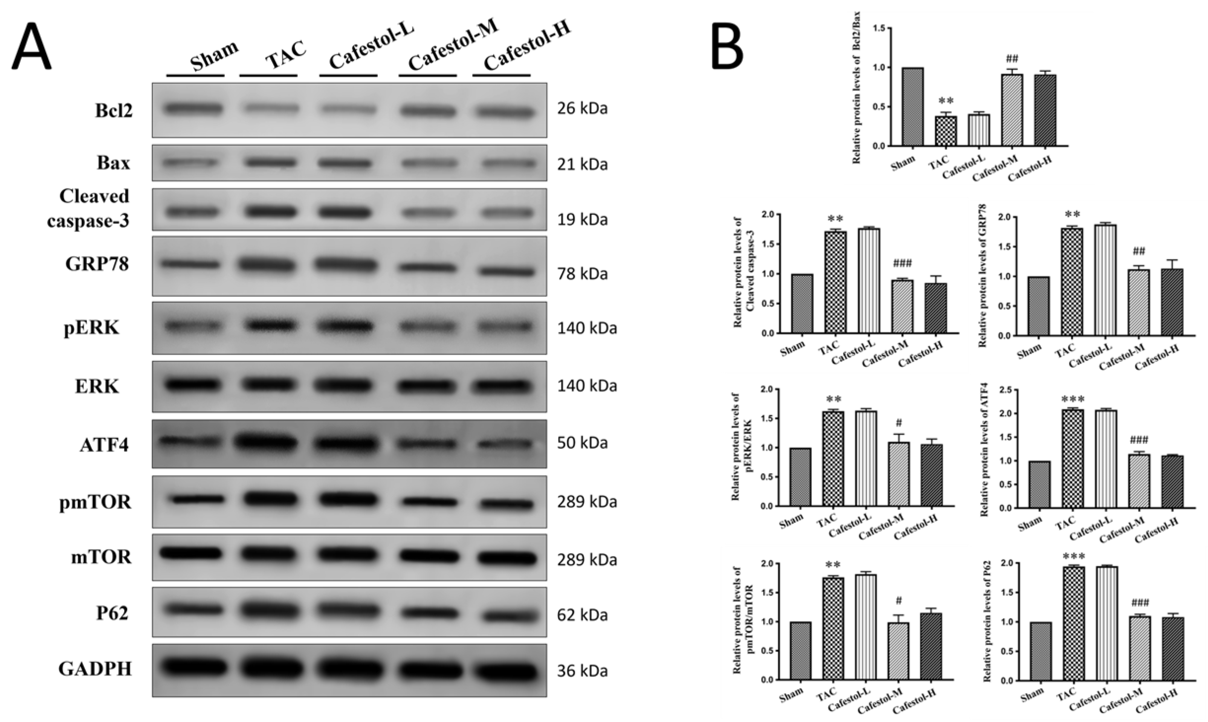 Nutrients 17 03680 g005 Nutrients 17 03680 g005