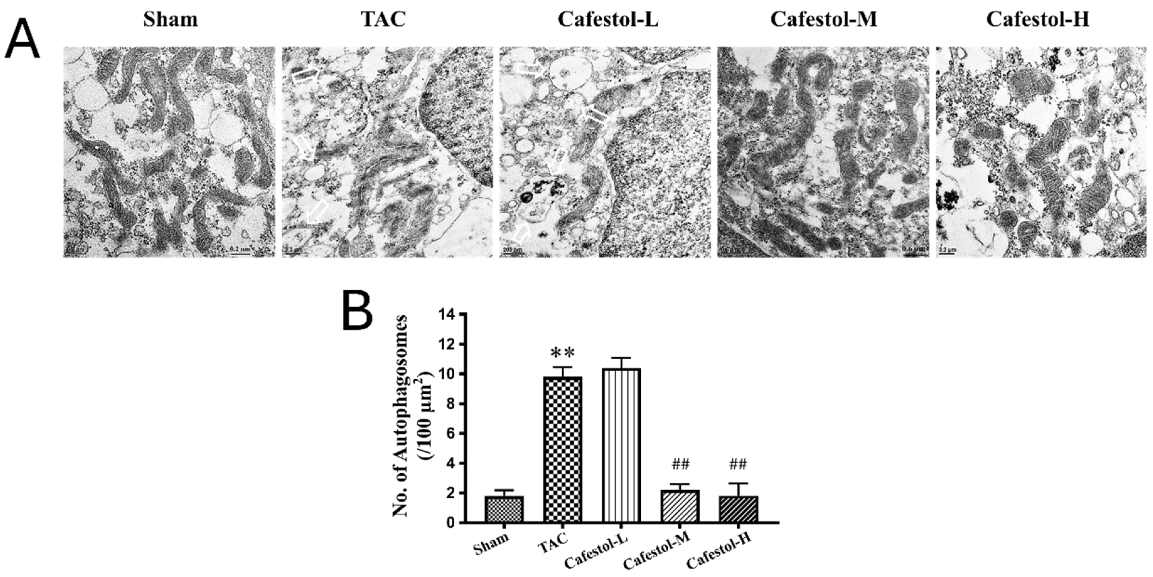 Nutrients 17 03680 g006 Nutrients 17 03680 g006