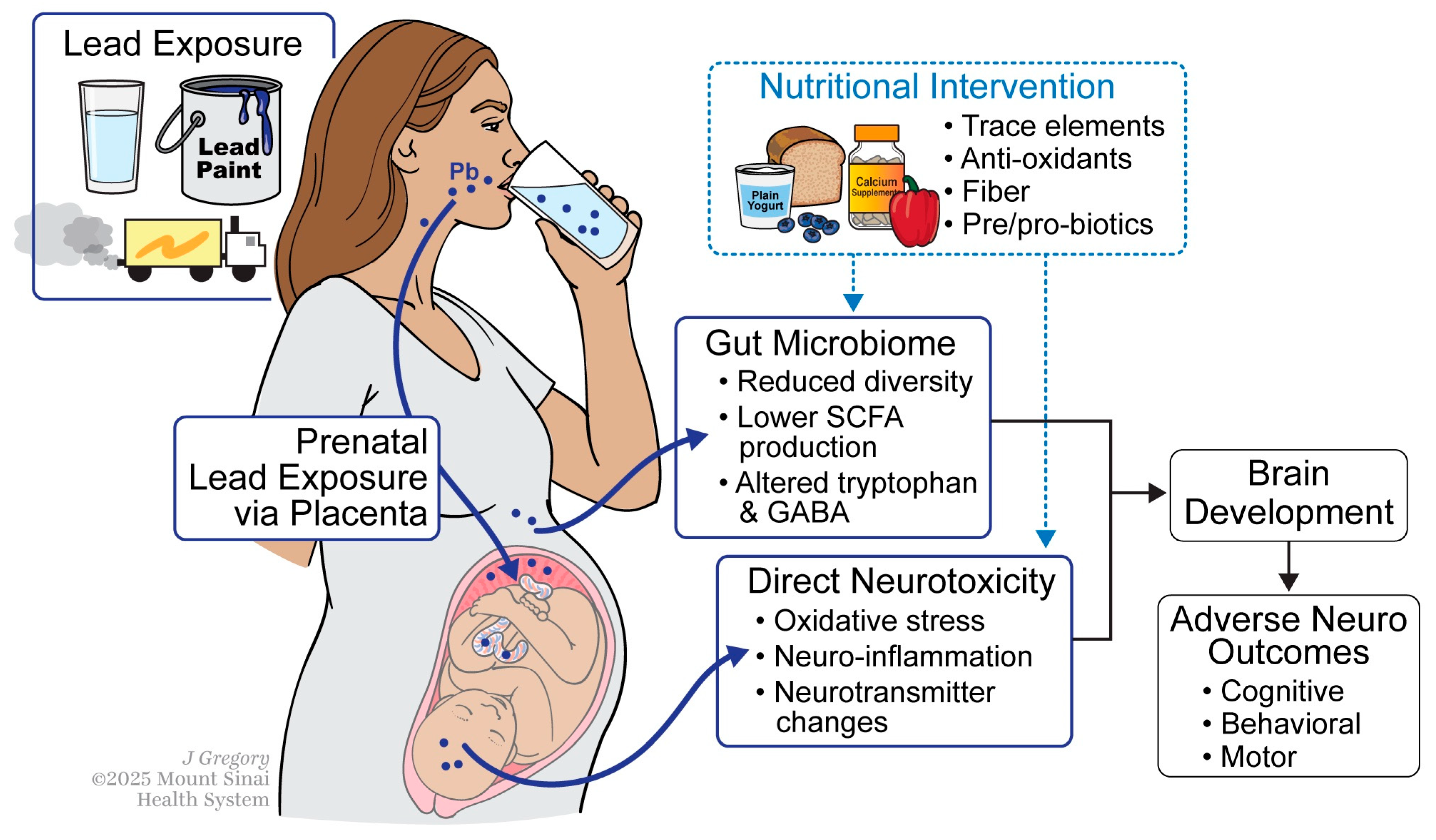 Nutrients 17 03700 g001 Nutrients 17 03700 g001