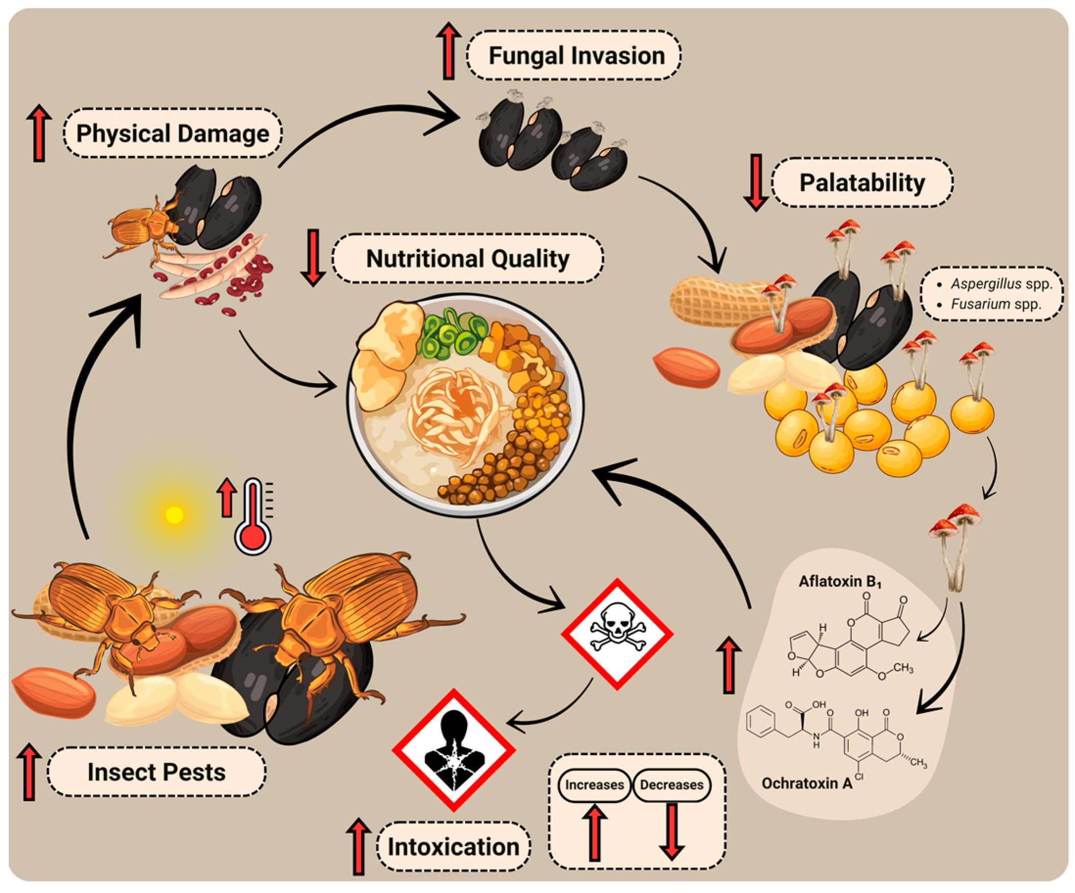 Nutrients 17 03703 g002