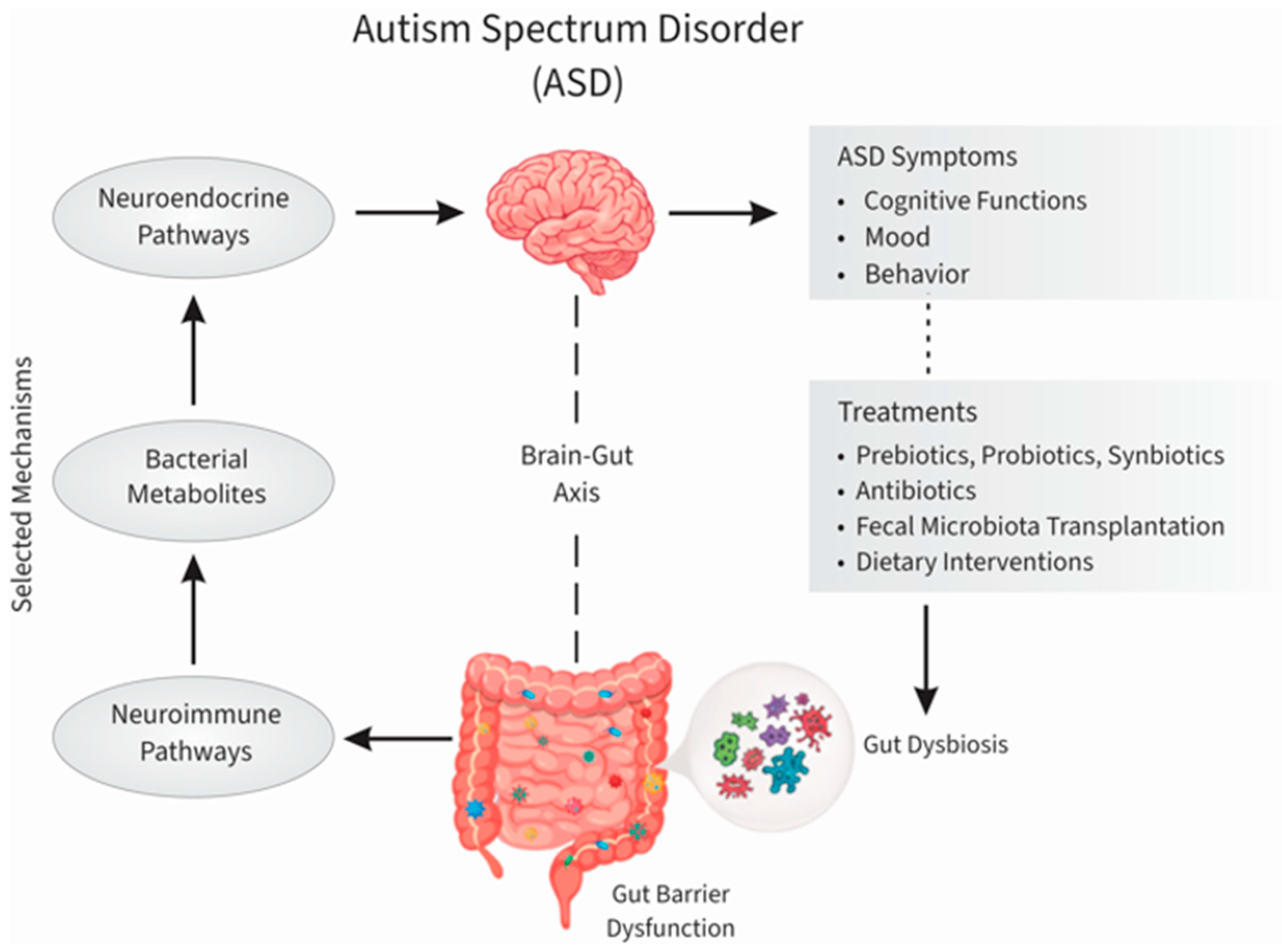 Nutrients 17 03714 g001 Nutrients 17 03714 g001