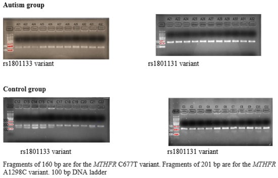 Nutrients 17 03761 g0a1