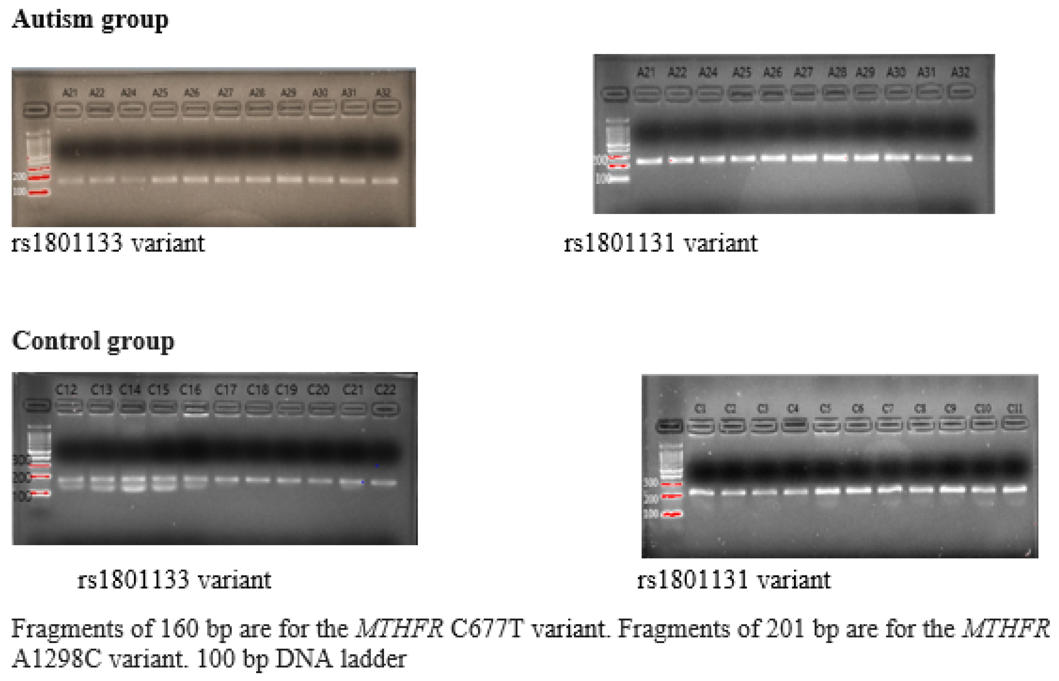 Nutrients 17 03761 g0a1 Nutrients 17 03761 g0a1