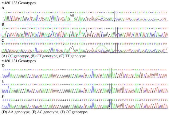 Nutrients 17 03761 g0a2