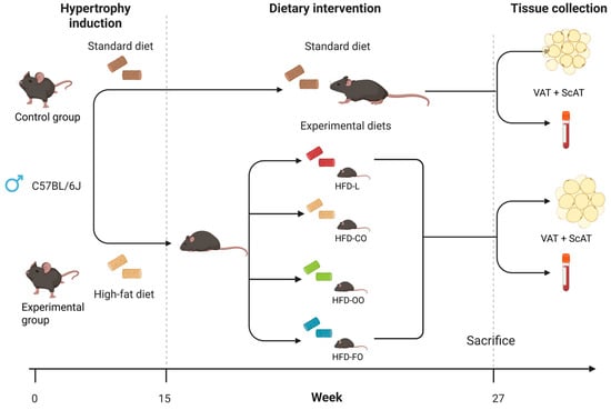 Nutrients 17 03776 g001