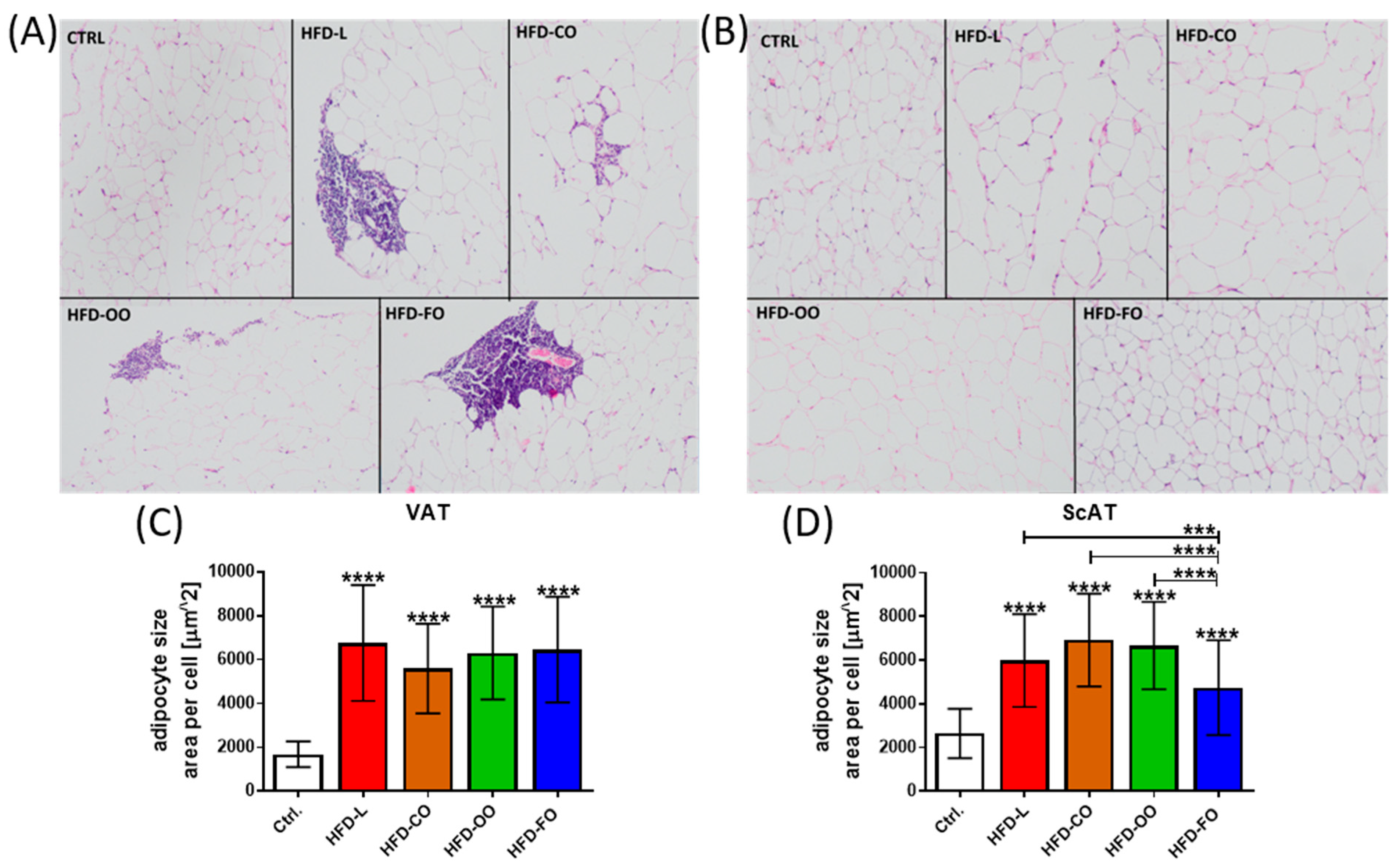 Nutrients 17 03776 g004 Nutrients 17 03776 g004