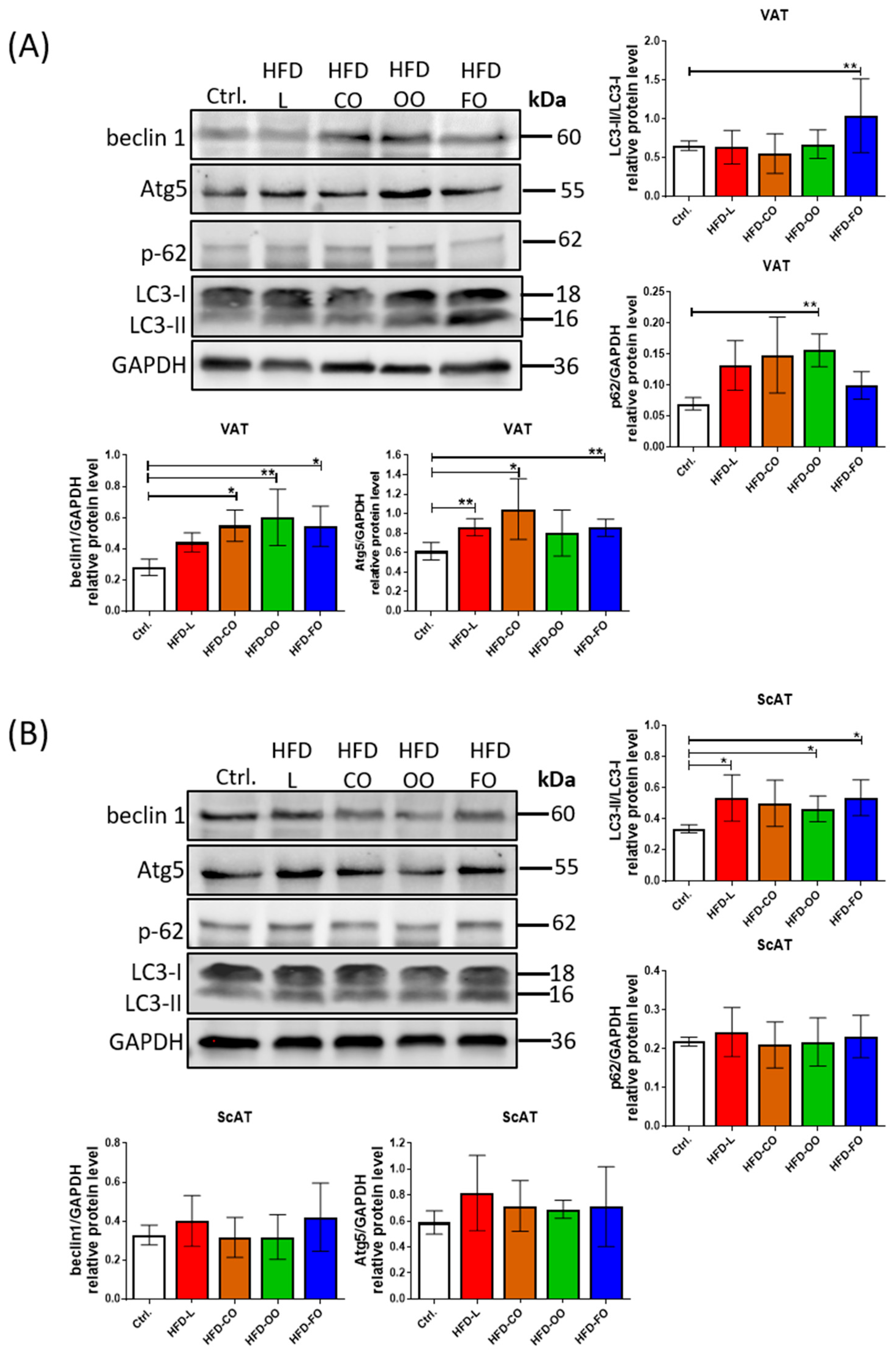 Nutrients 17 03776 g005 Nutrients 17 03776 g005