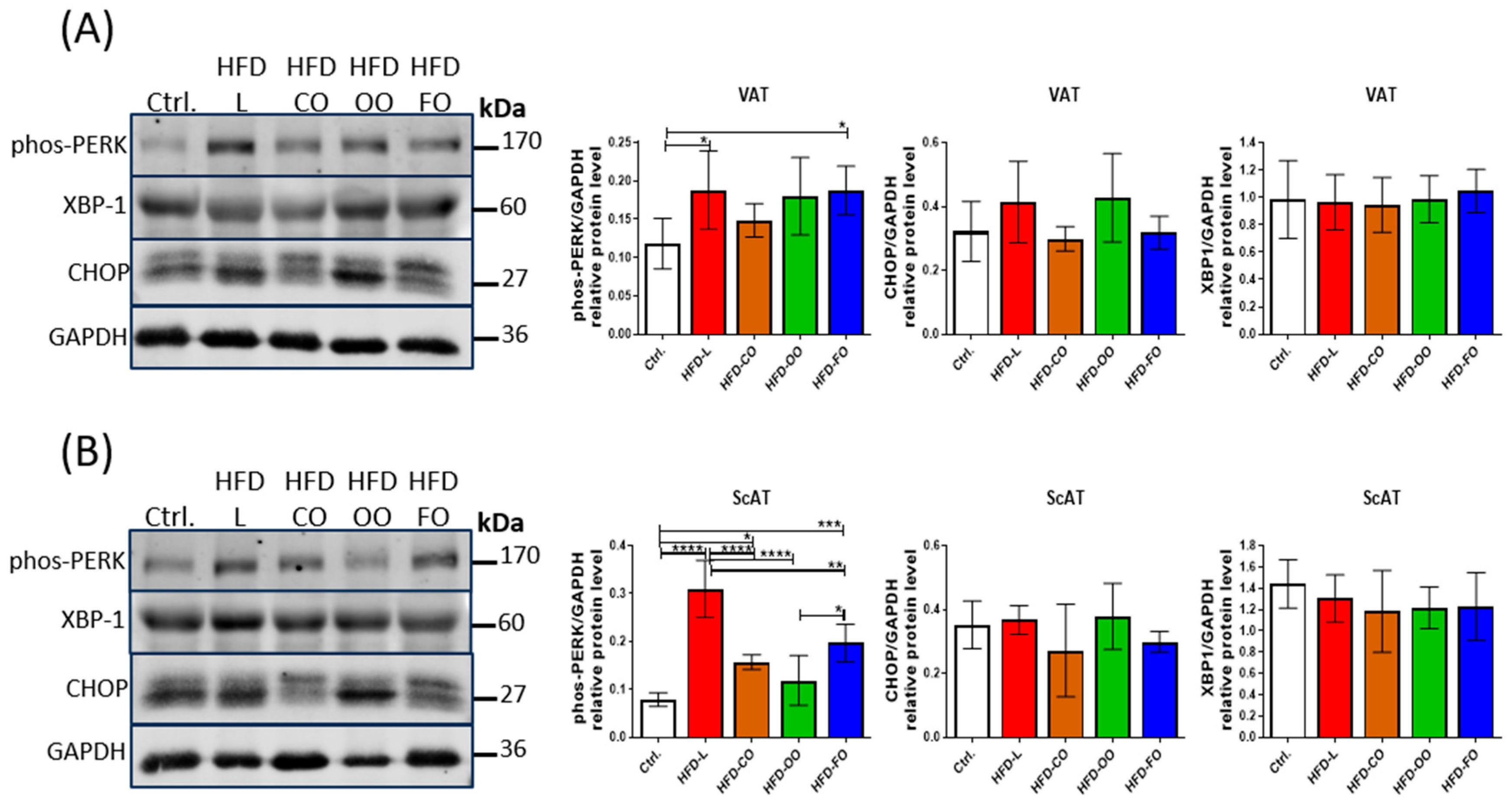 Nutrients 17 03776 g006 Nutrients 17 03776 g006