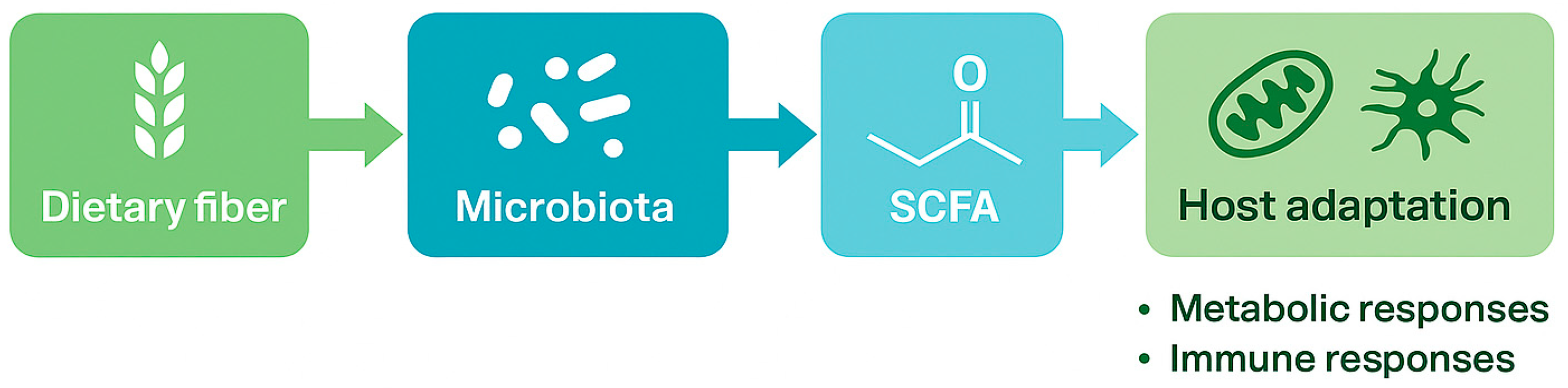 Nutrients 17 03786 g001