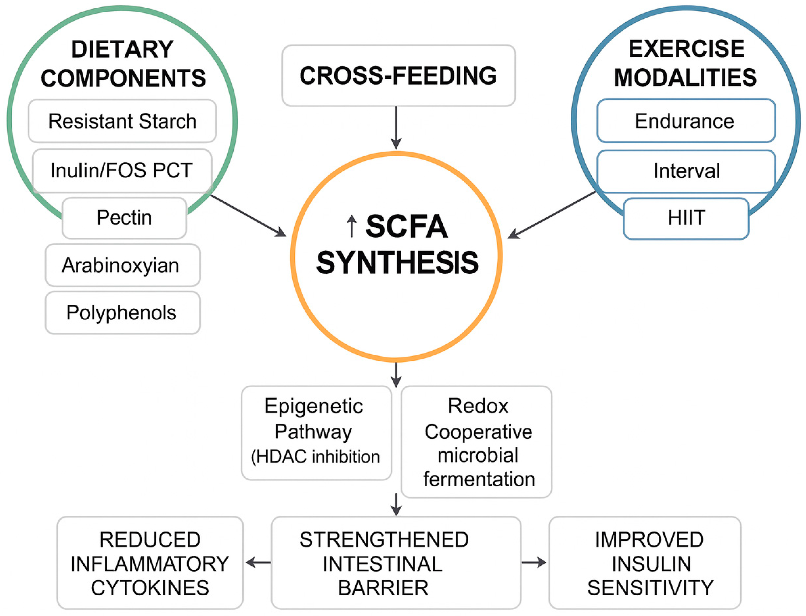 Nutrients 17 03786 g002