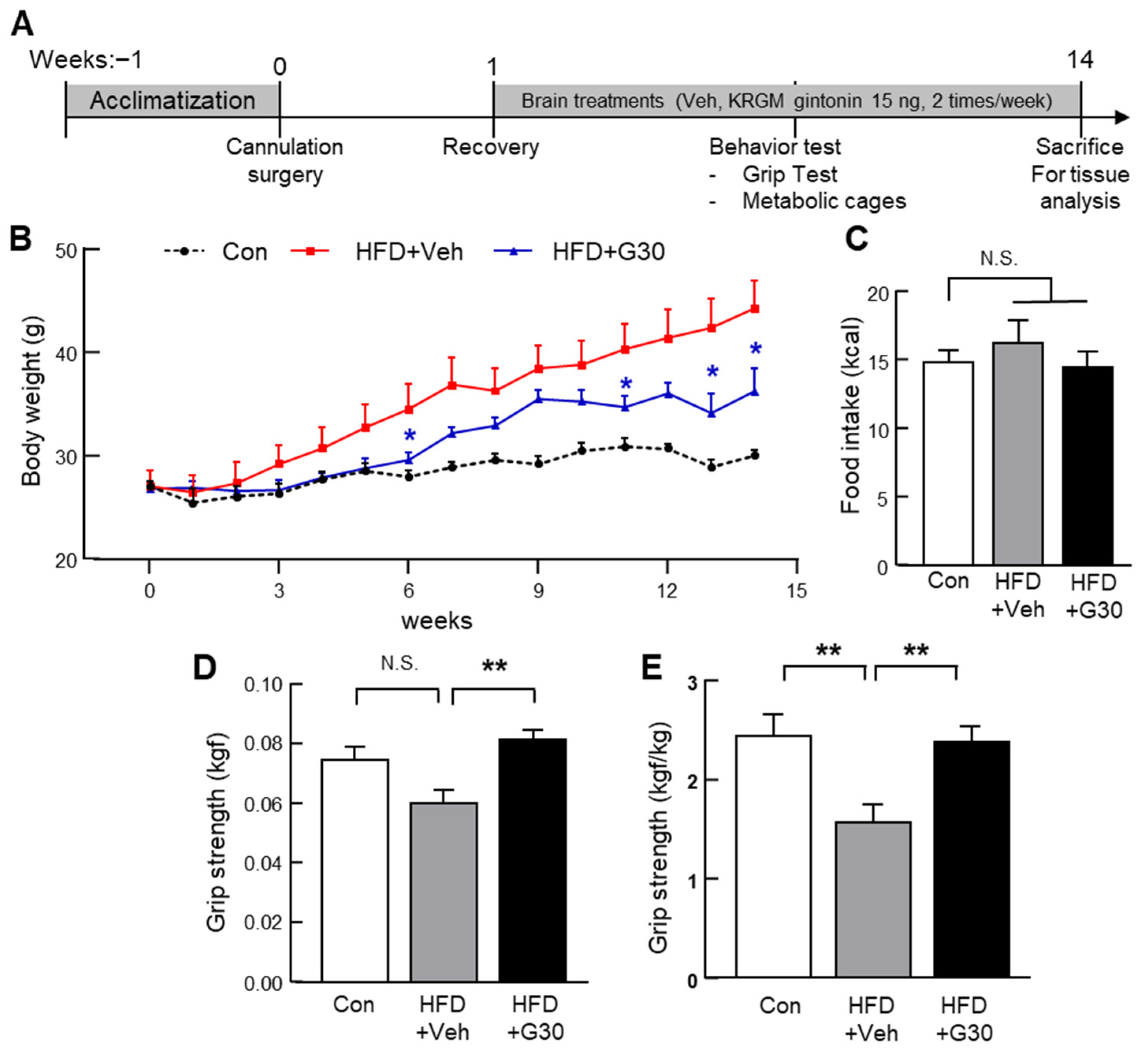 Nutrients 17 03794 g005 Nutrients 17 03794 g005