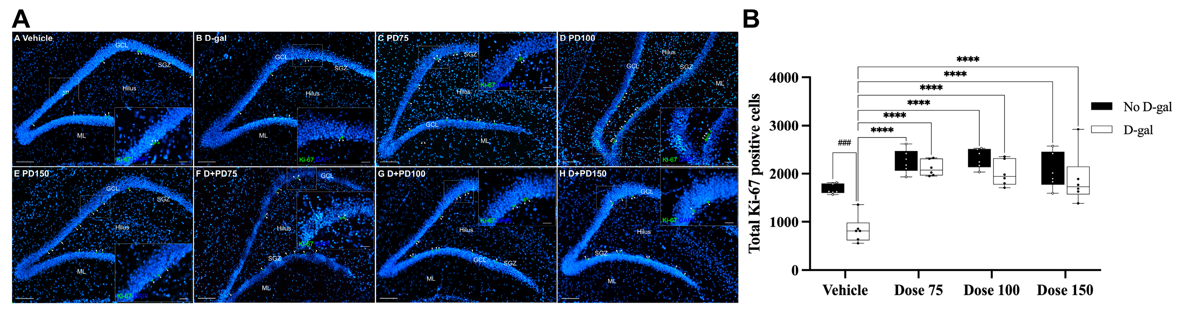 Nutrients 17 03804 g004