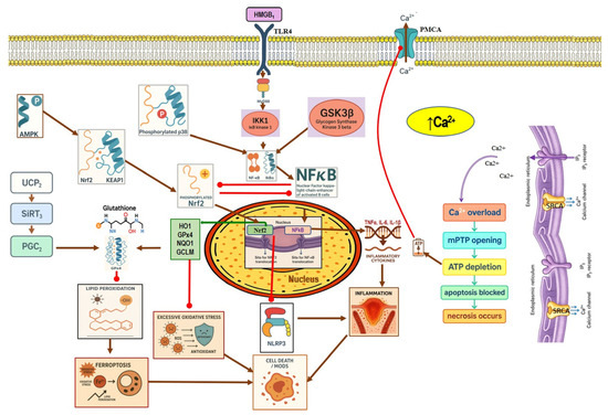 Nutrients 17 03841 g003