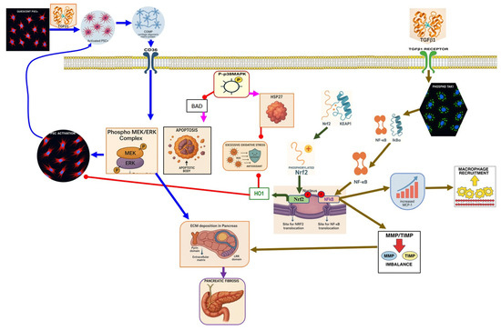 Nutrients 17 03841 g004
