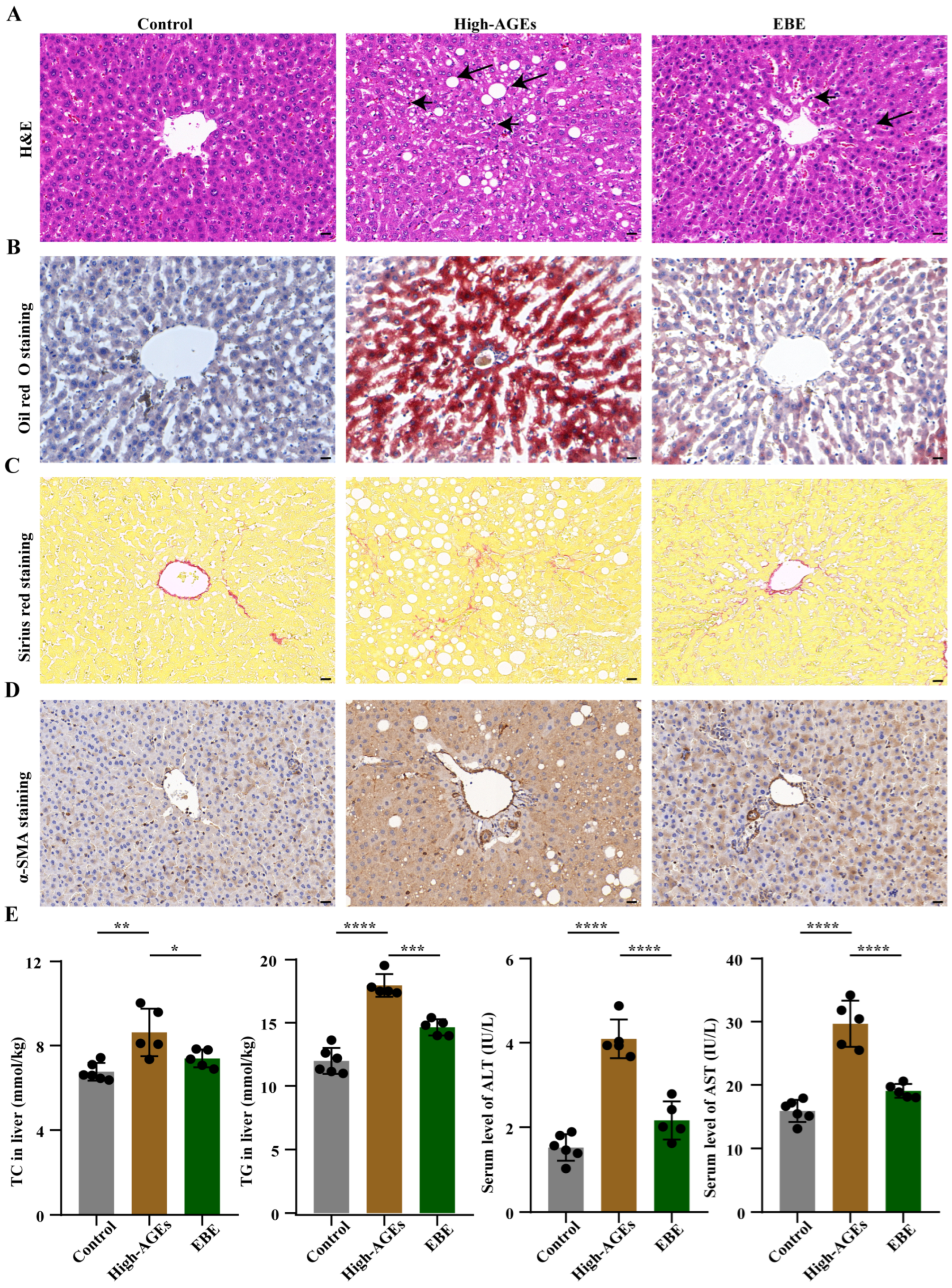 Nutrients 17 03918 g003 Nutrients 17 03918 g003