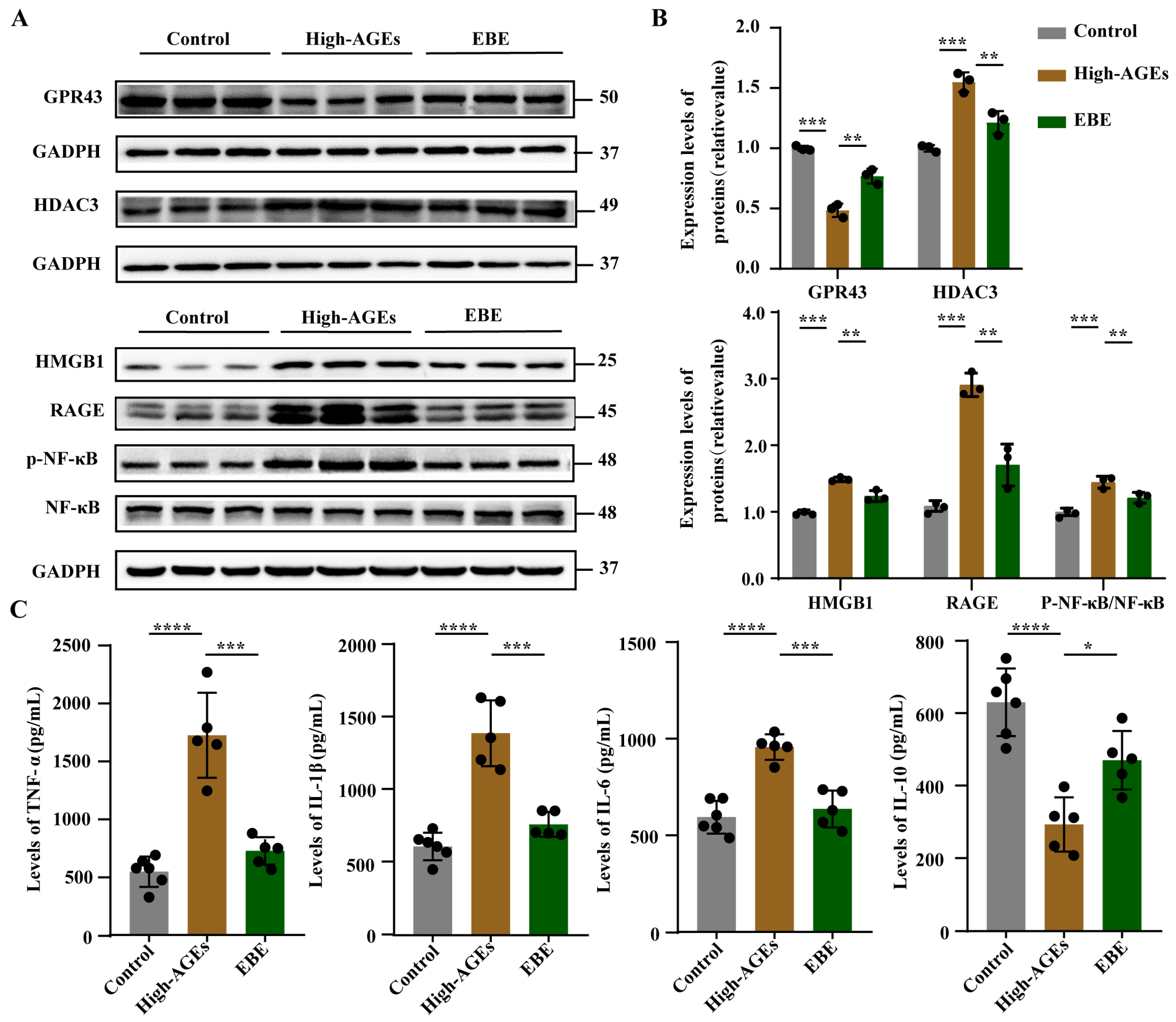 Nutrients 17 03918 g006 Nutrients 17 03918 g006