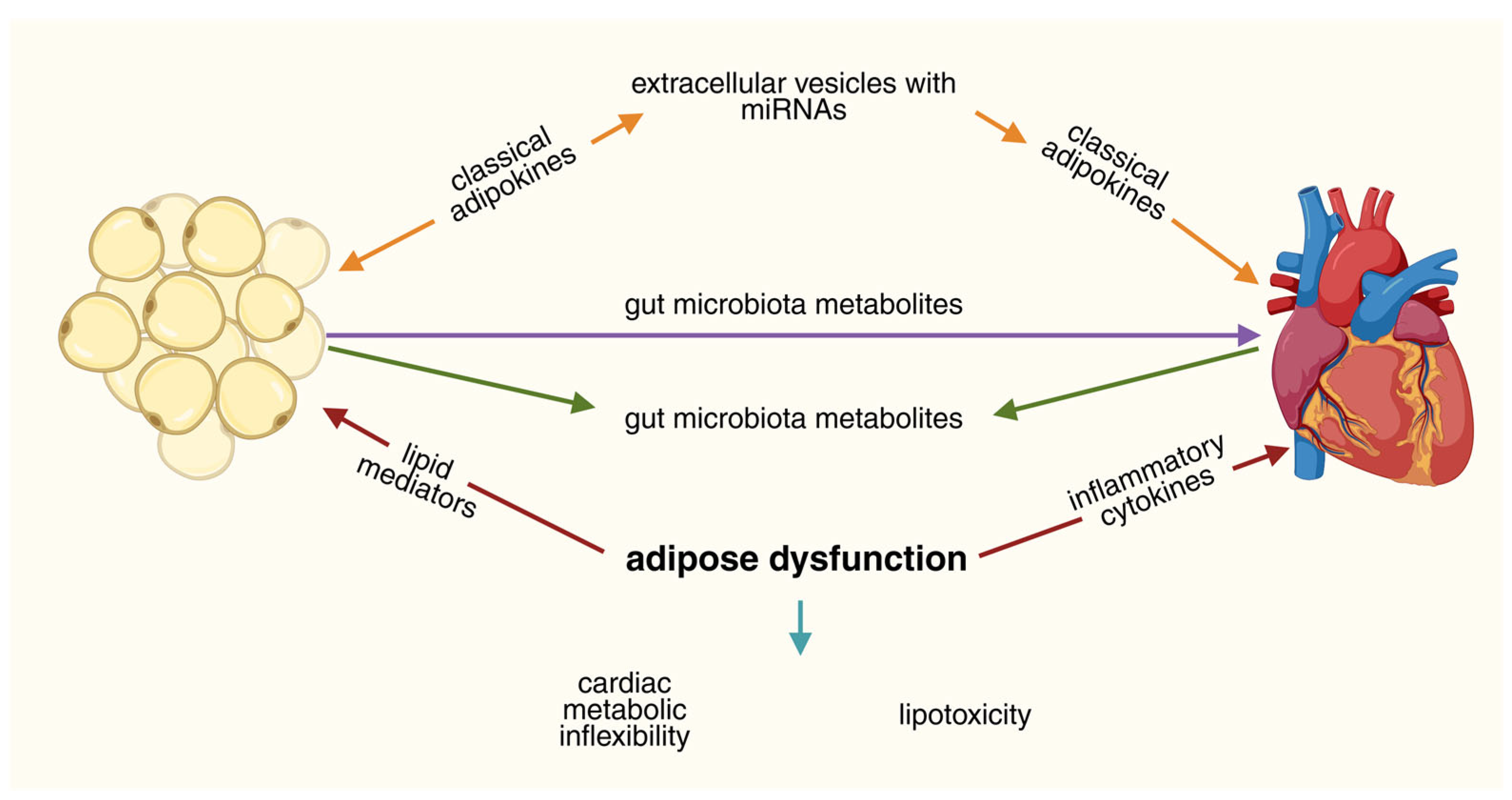Nutrients 17 03945 g001