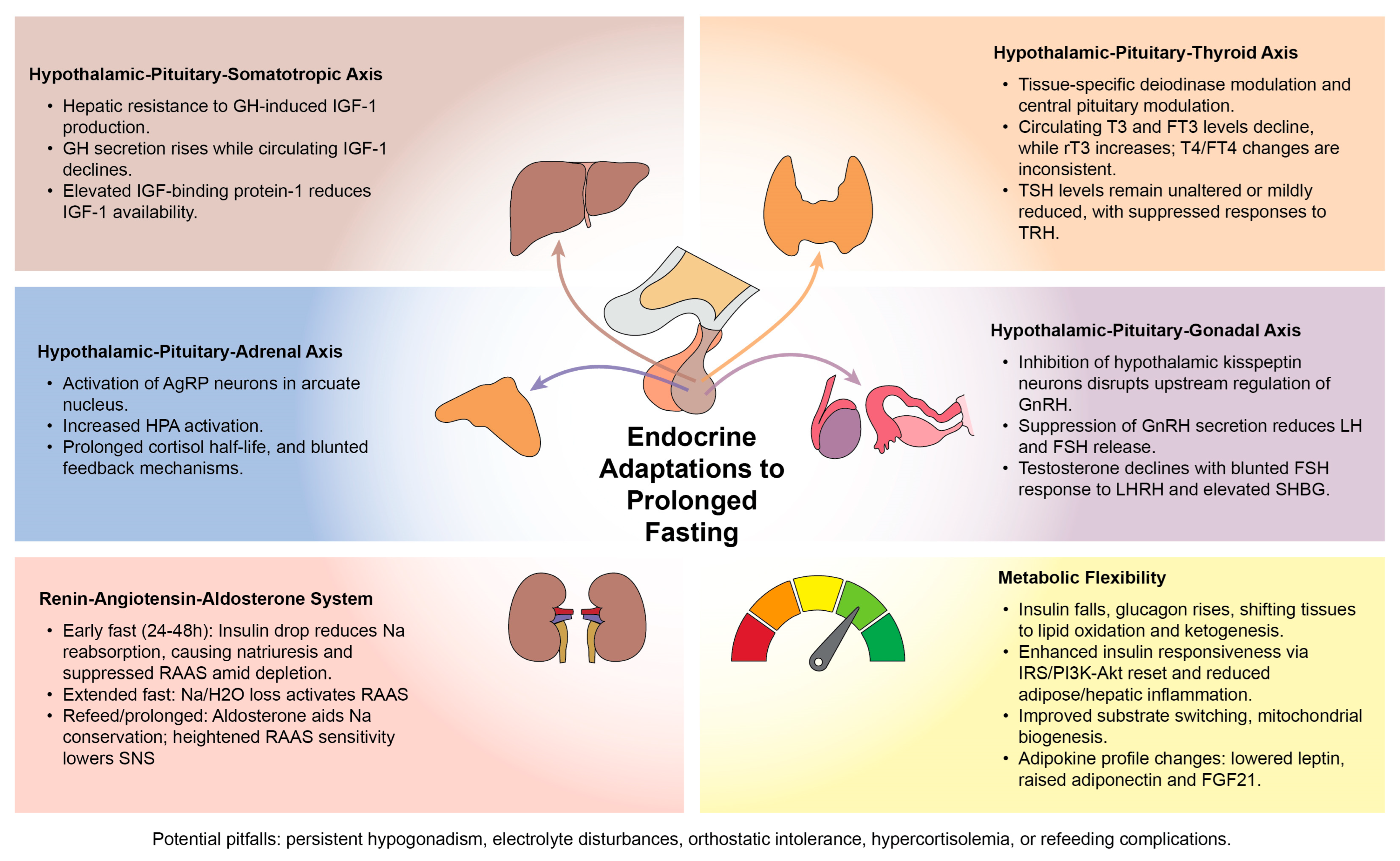 Nutrients 17 03949 g001
