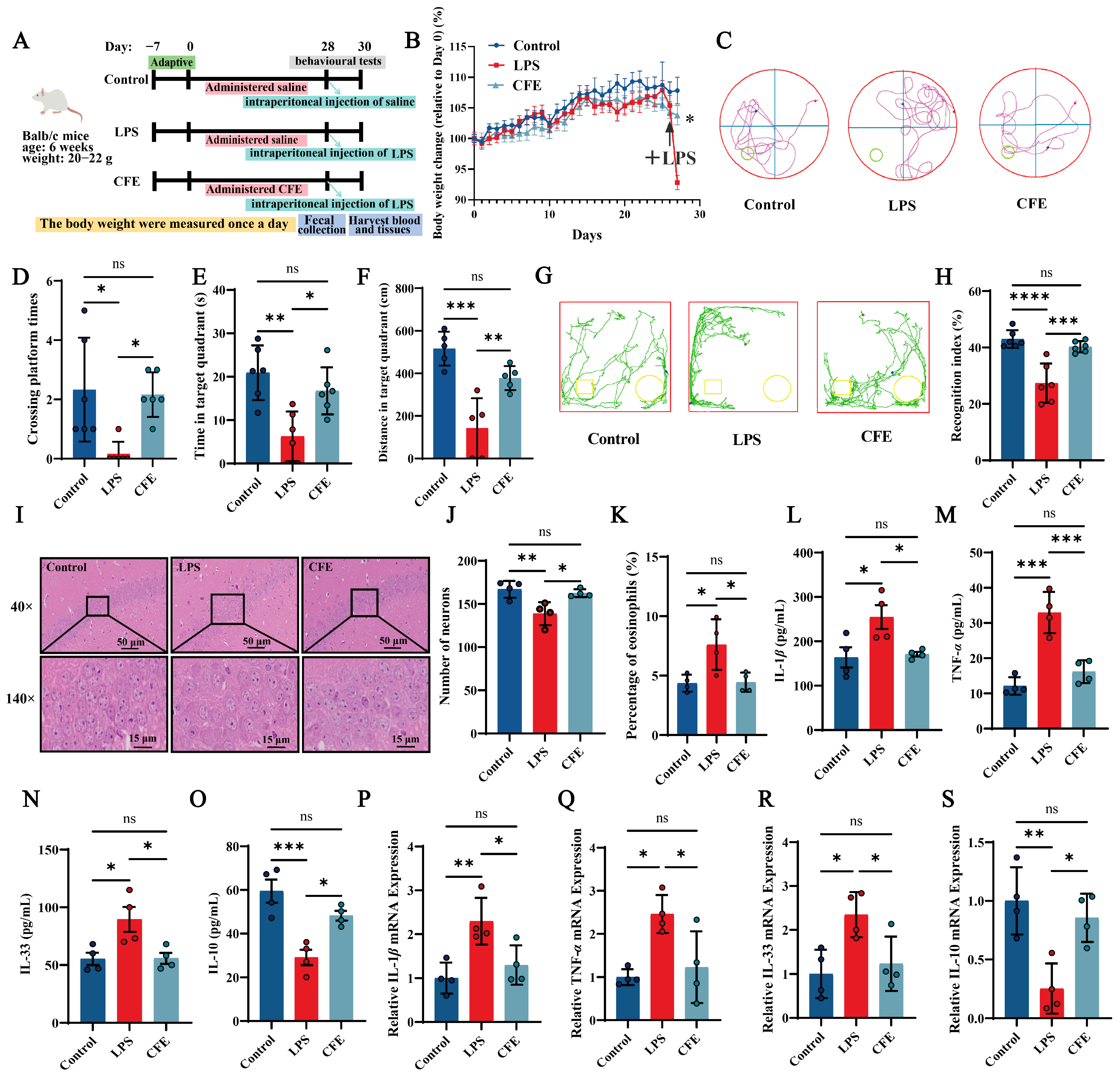 Nutrients 17 03958 g002