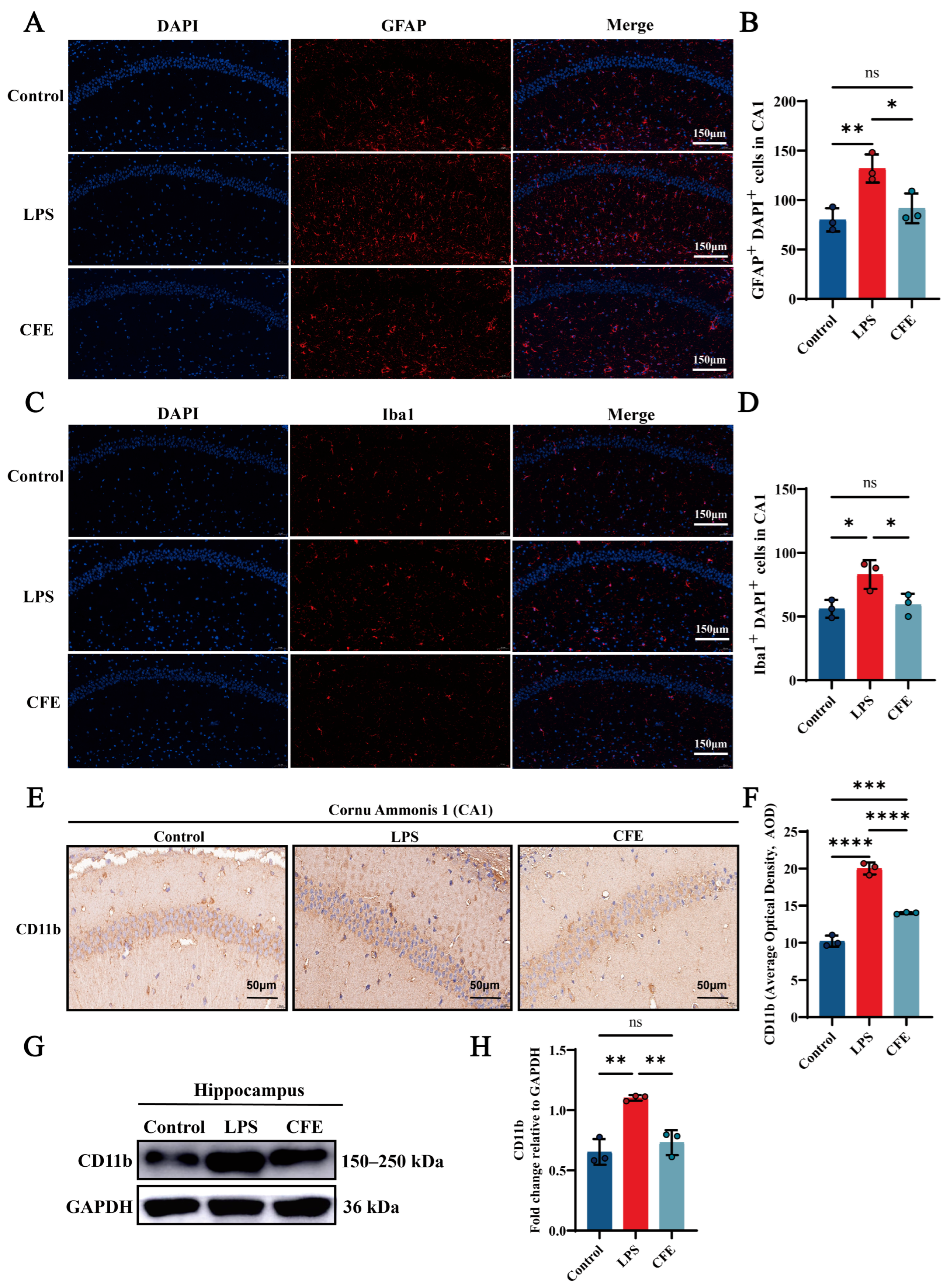 Nutrients 17 03958 g005