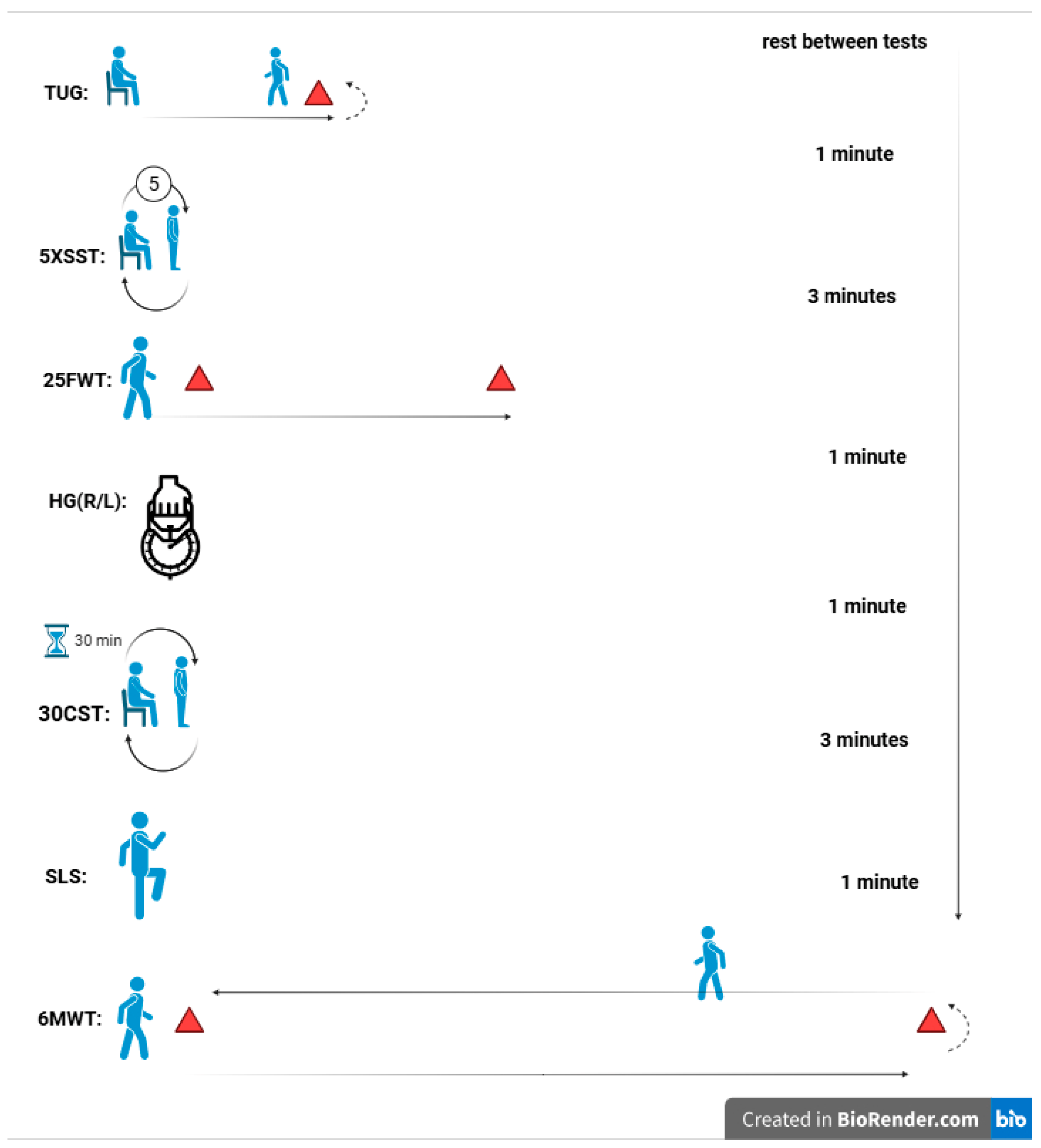 Nutrients 17 03959 g001