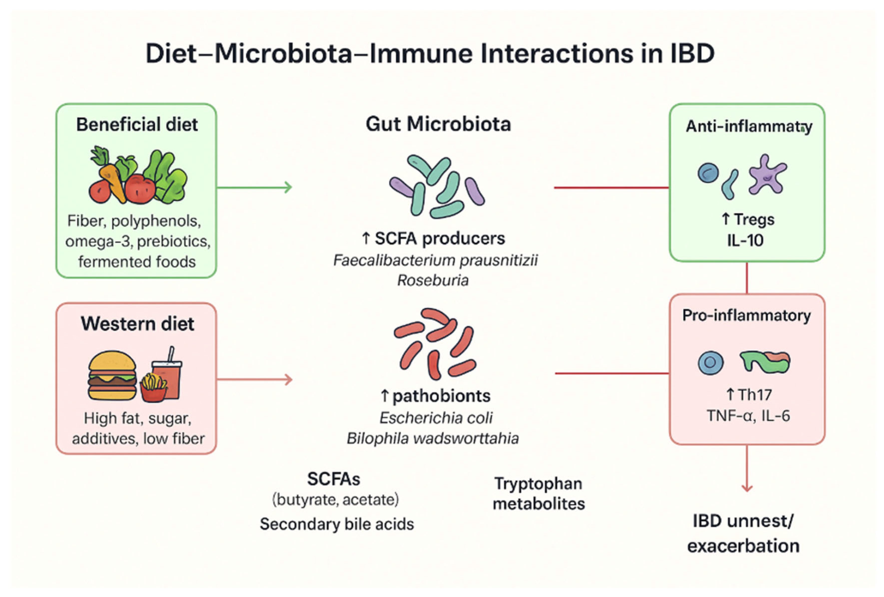 Nutrients 18 00009 g001 Nutrients 18 00009 g001