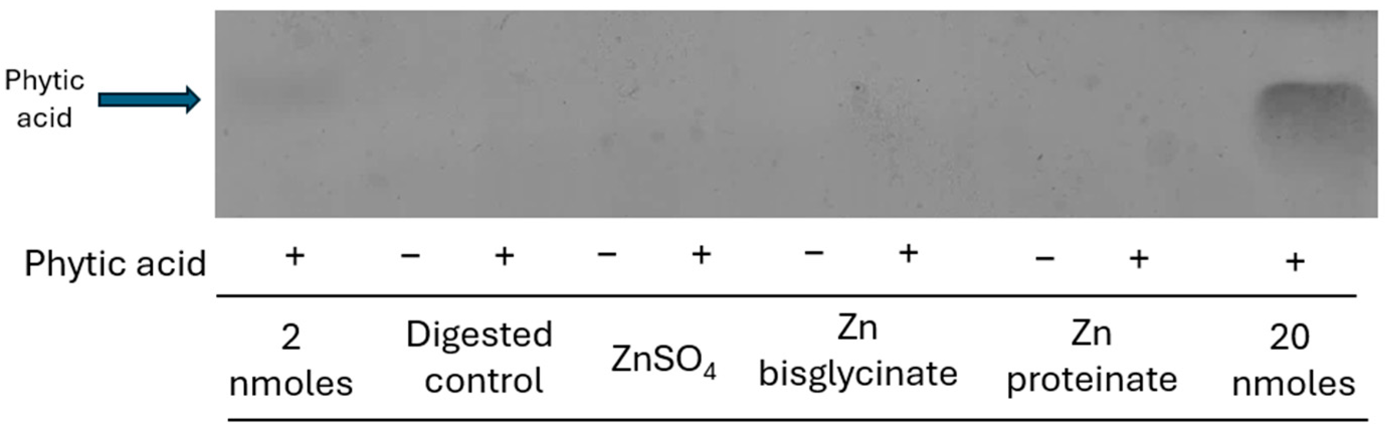 Nutrients 18 00046 g003