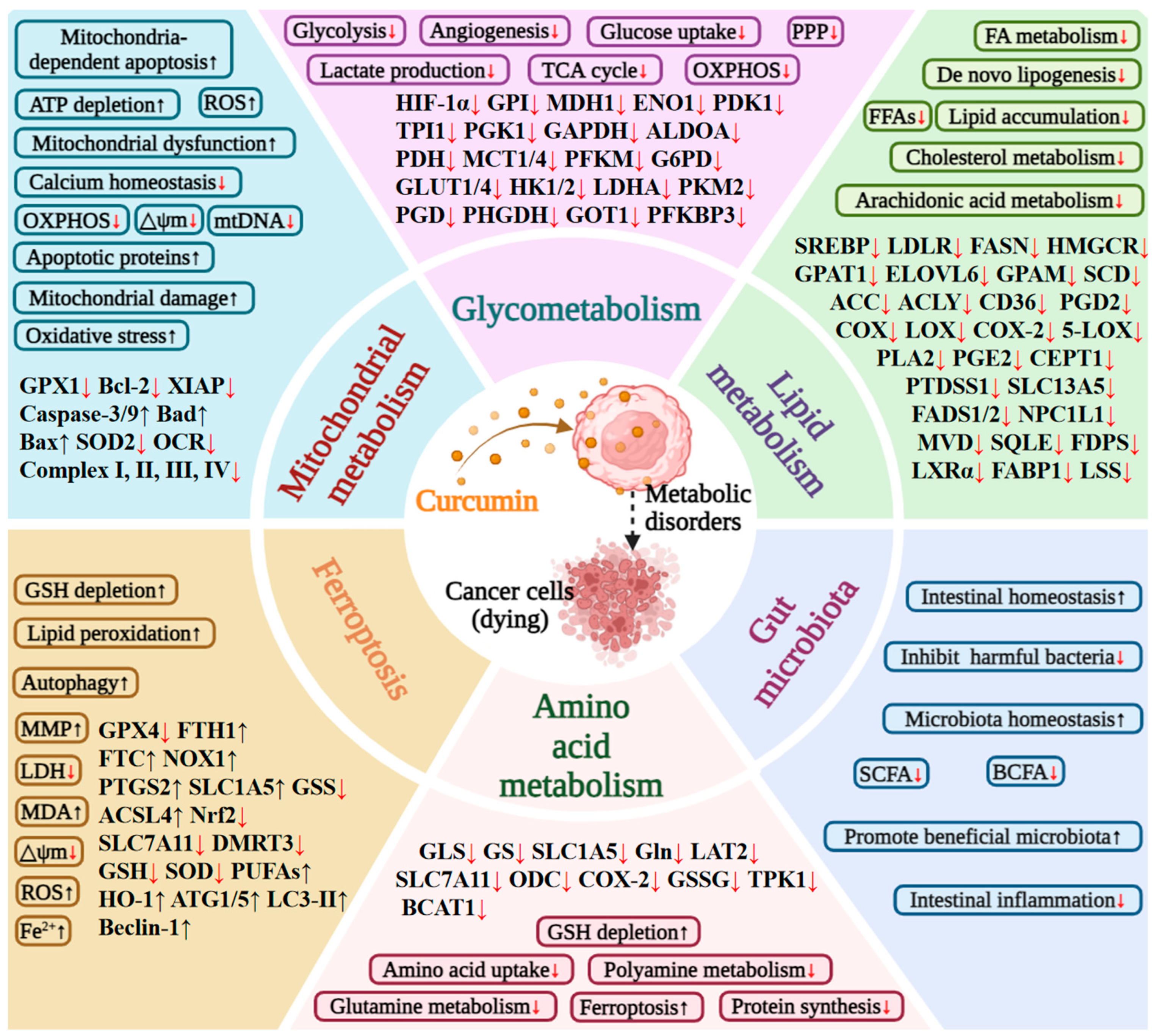 Nutrients 18 00053 g001
