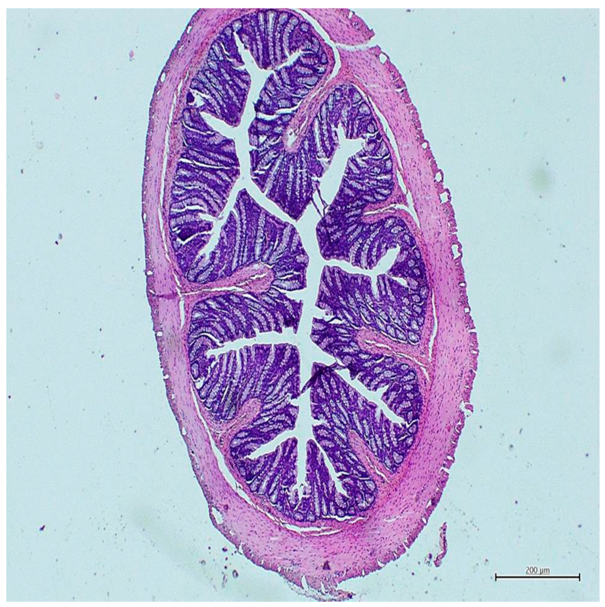 Nutrients 18 00086 g001