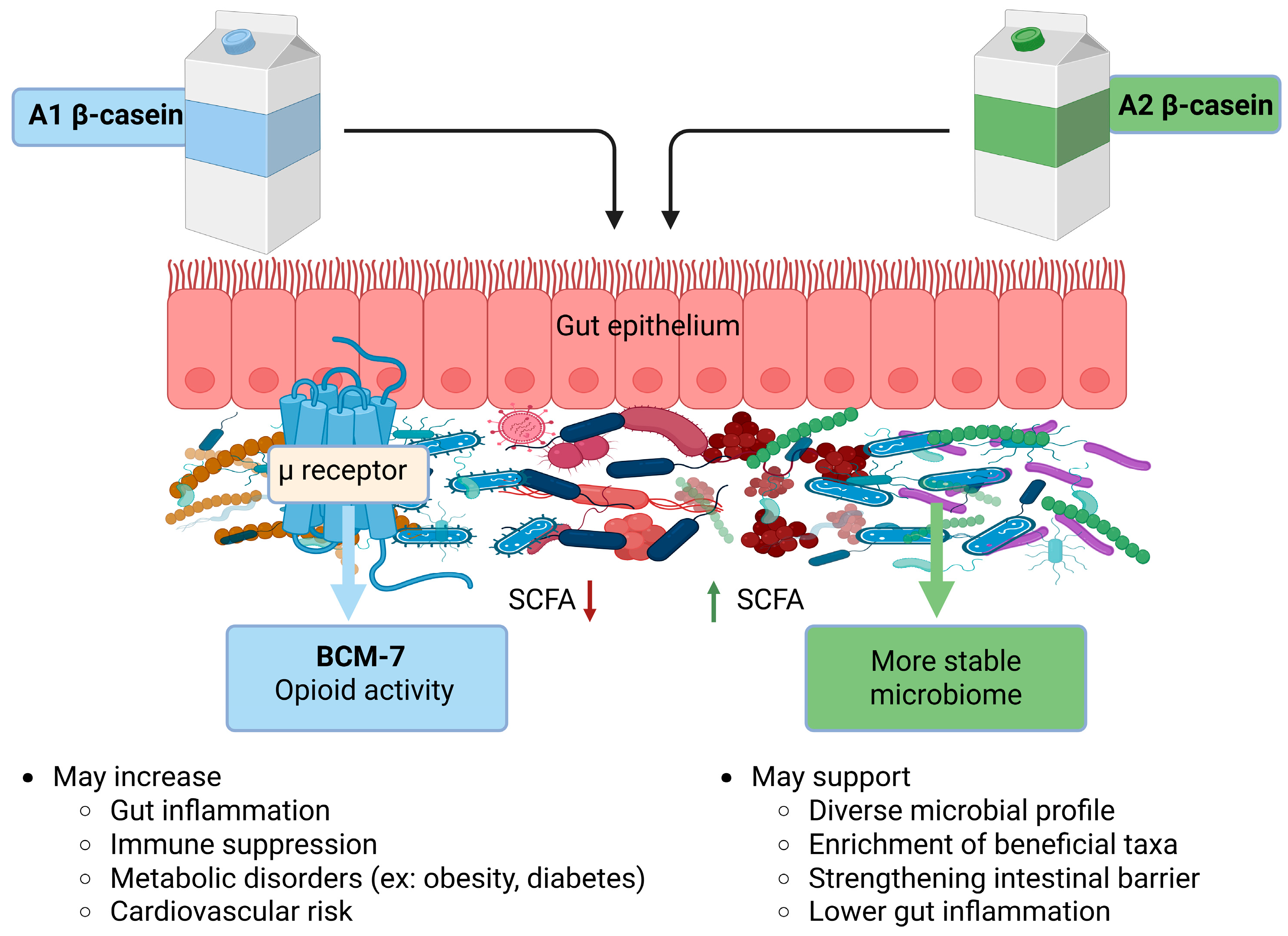 Nutrients 18 00138 g002